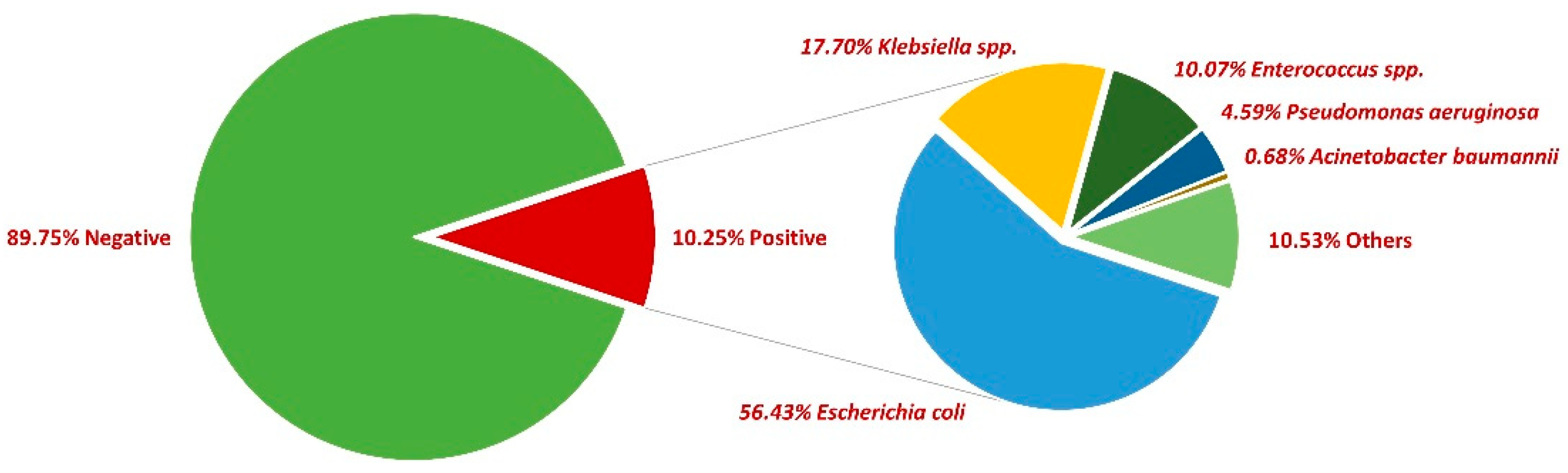 Antibiotics 13 00160 g001
