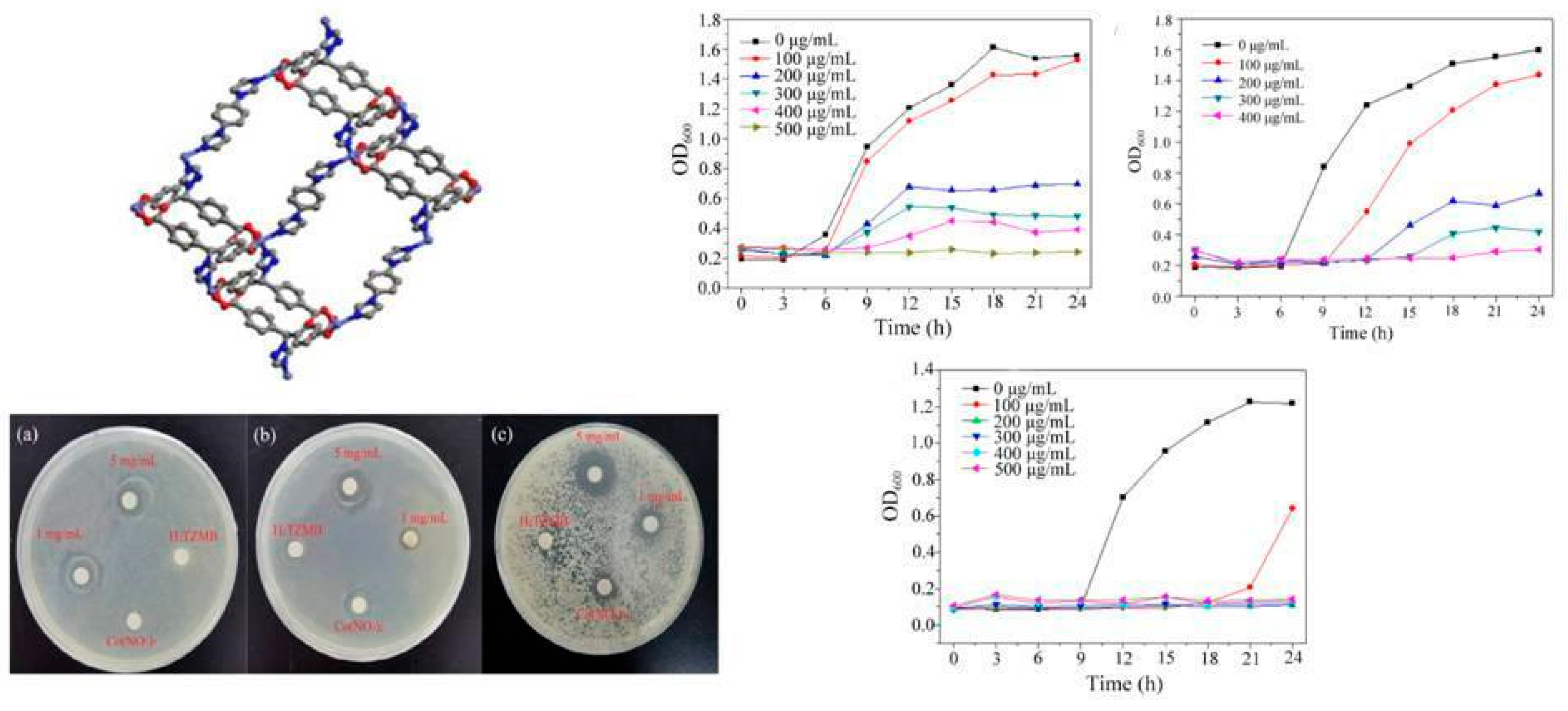 Antibiotics 13 00173 g005