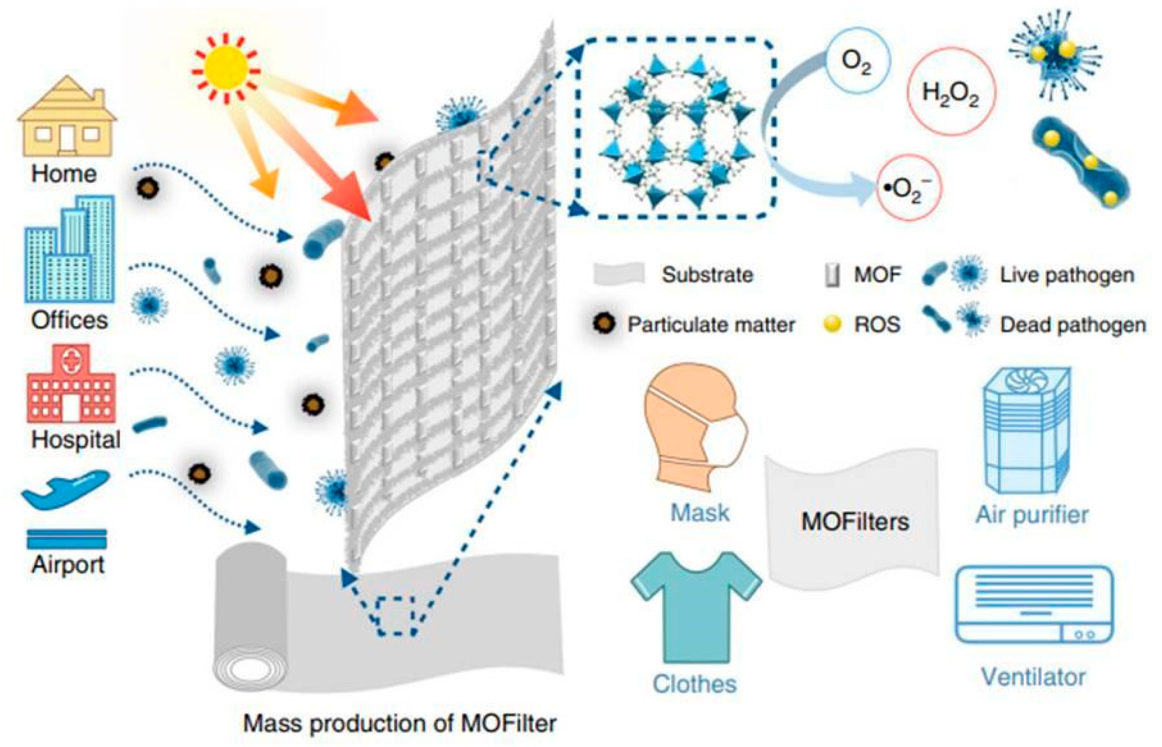 Antibiotics 13 00173 g006