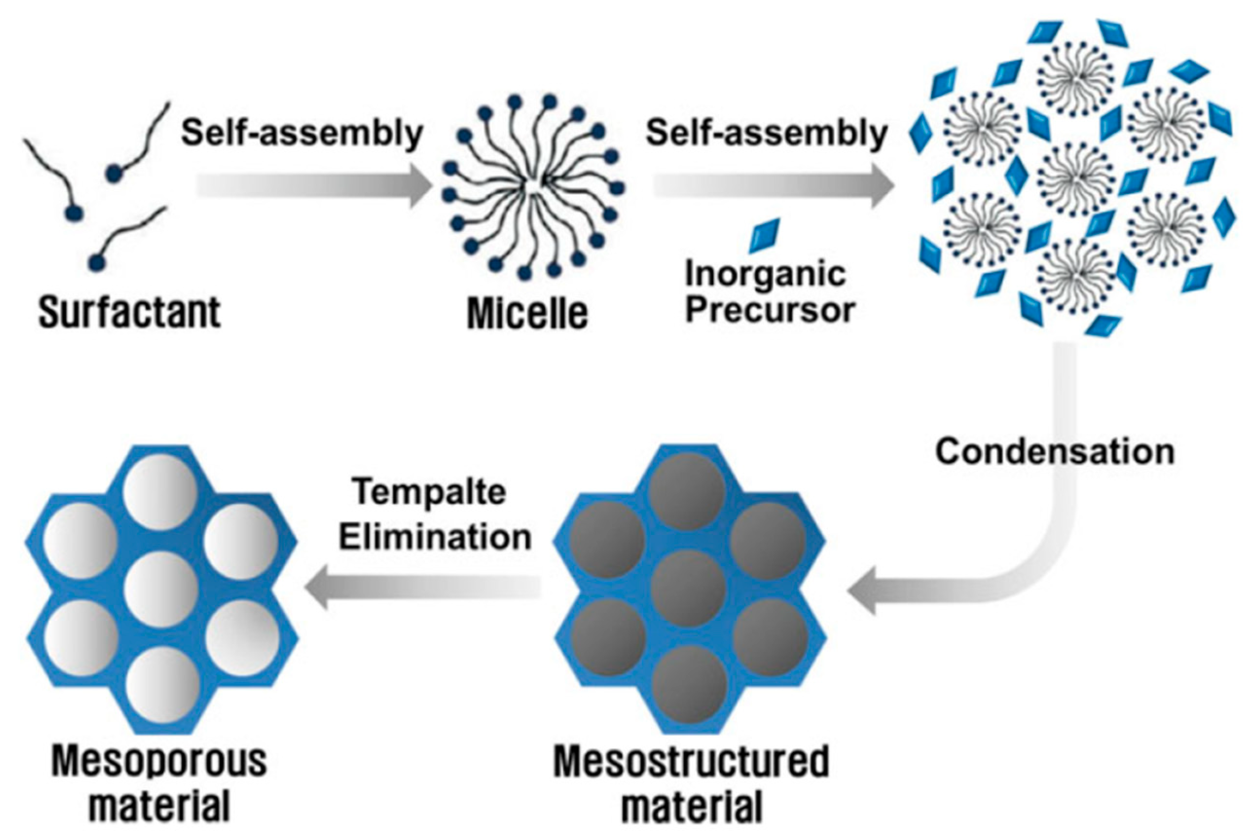 Antibiotics 13 00173 g009