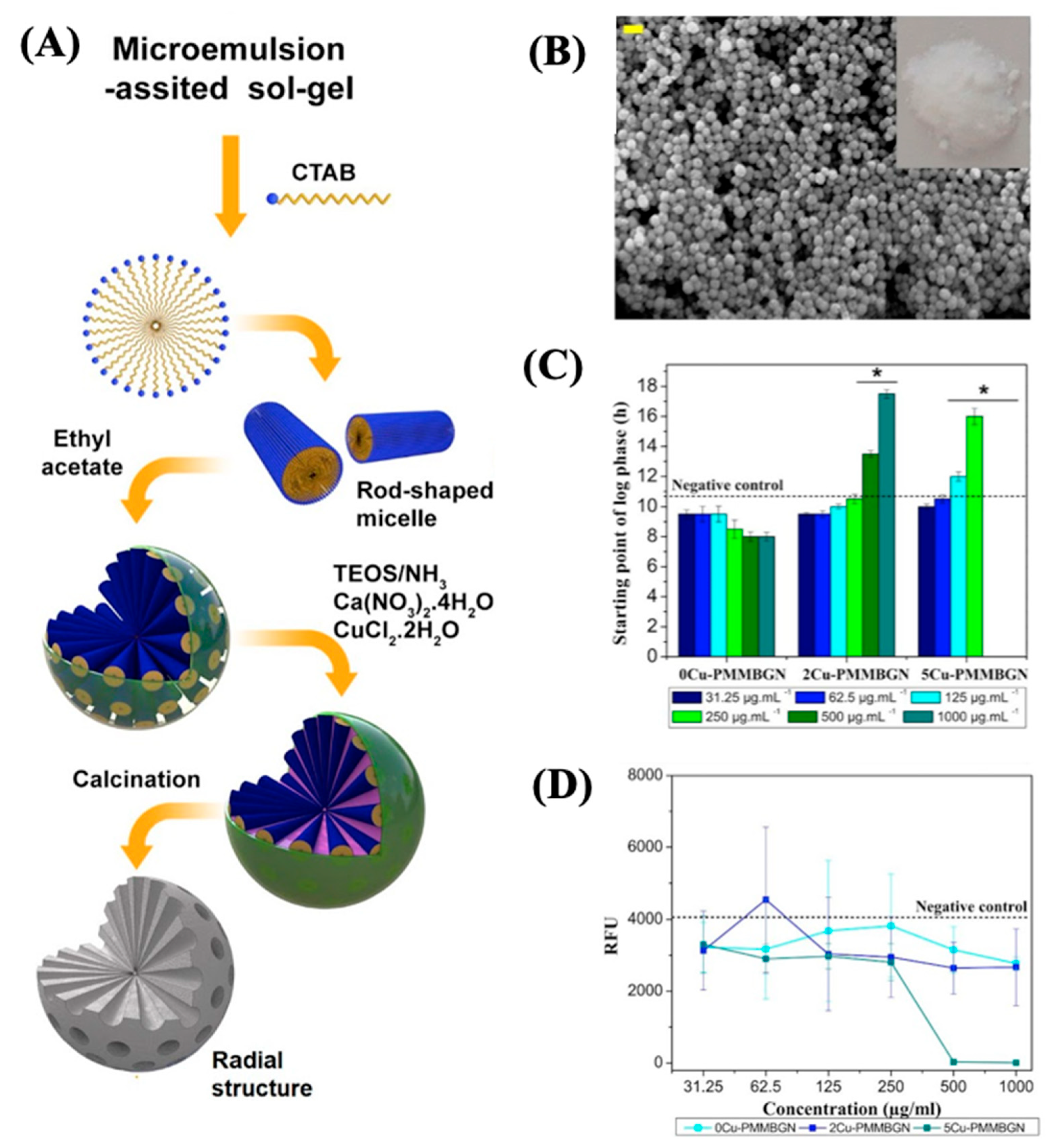 Antibiotics 13 00173 g012