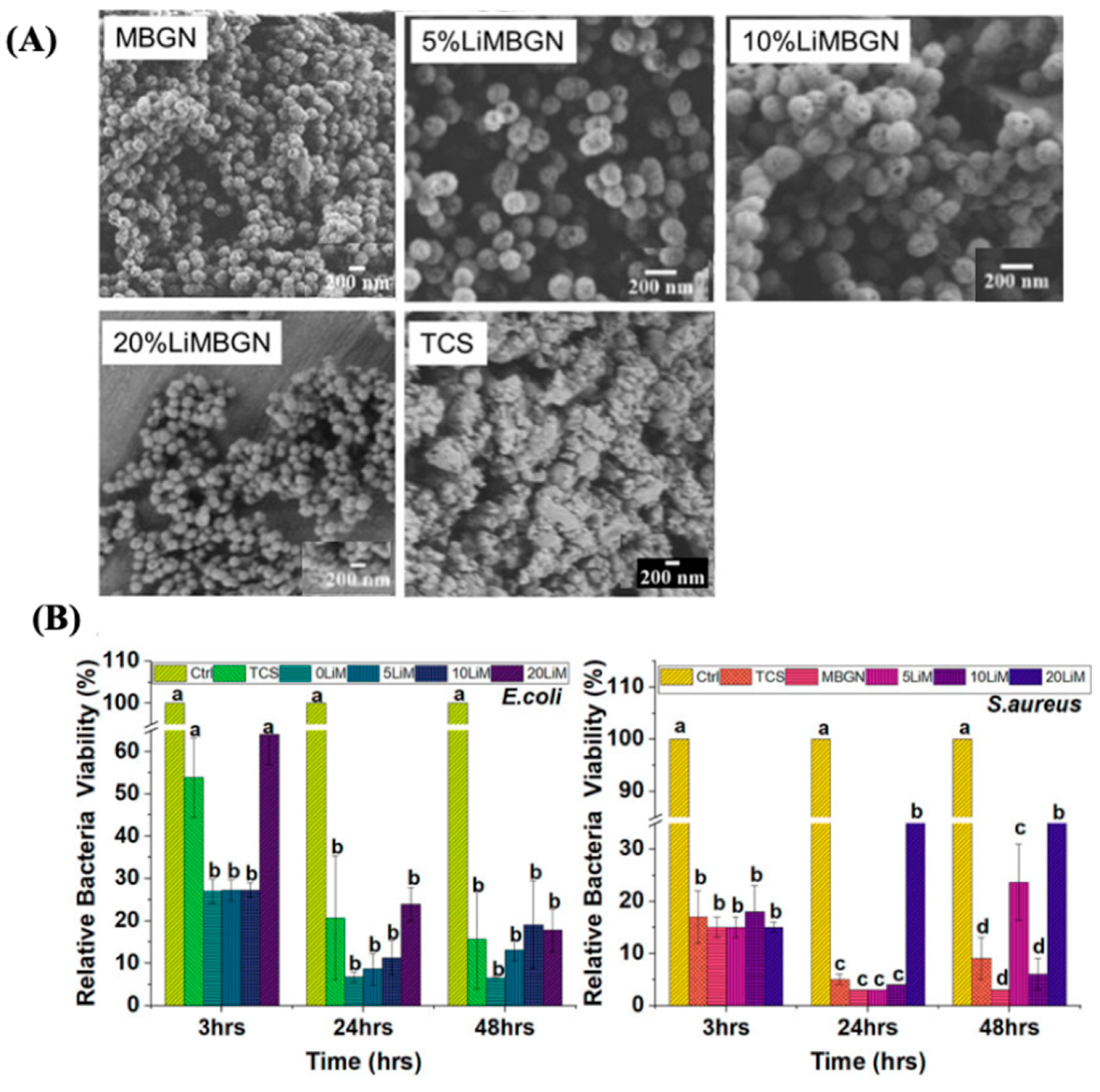 Antibiotics 13 00173 g013