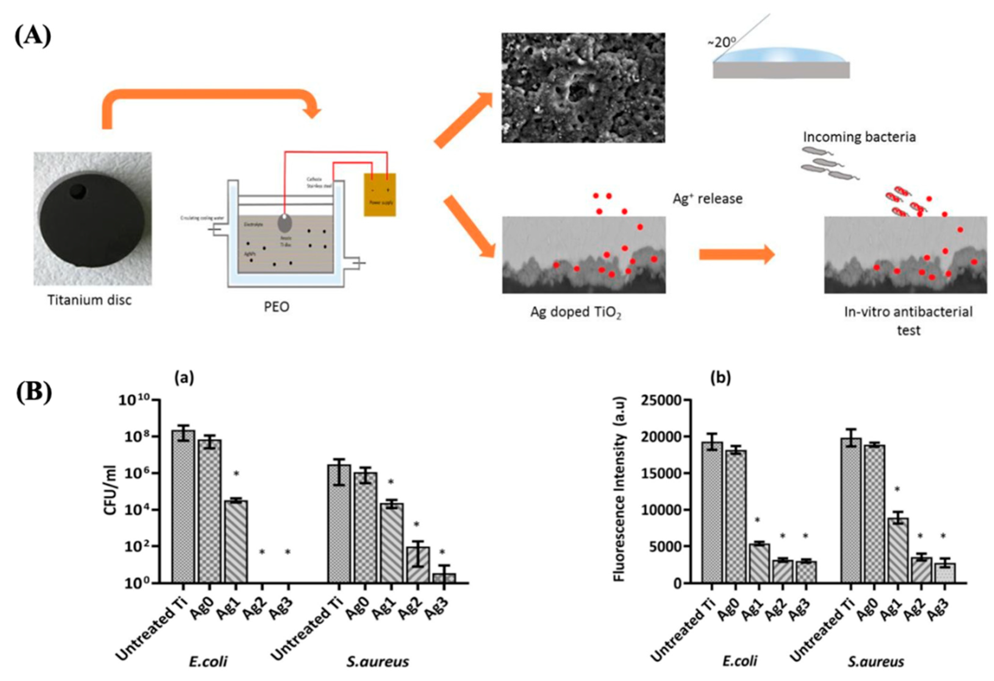 Antibiotics 13 00173 g015