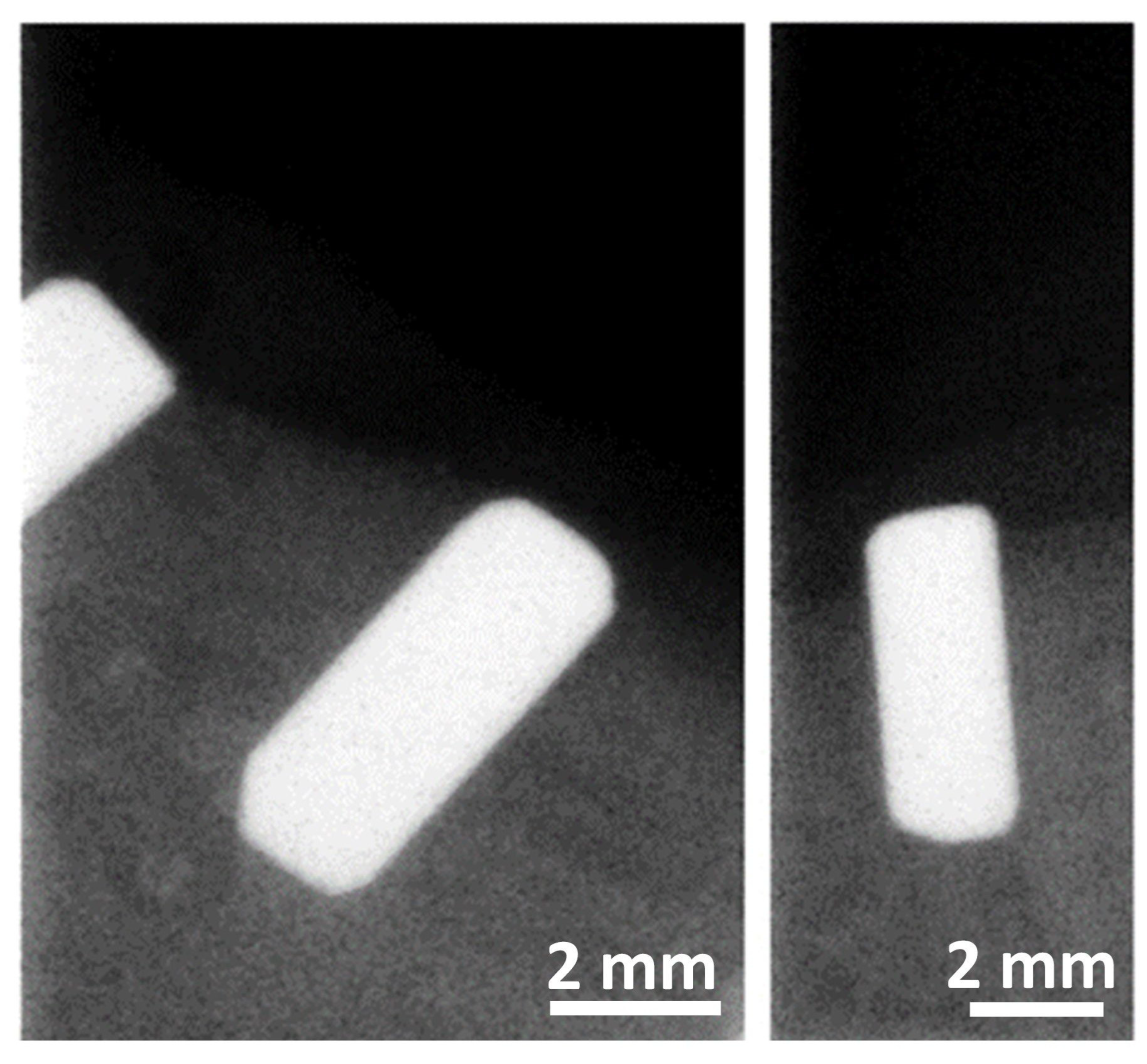 Antibiotics 13 00175 g007