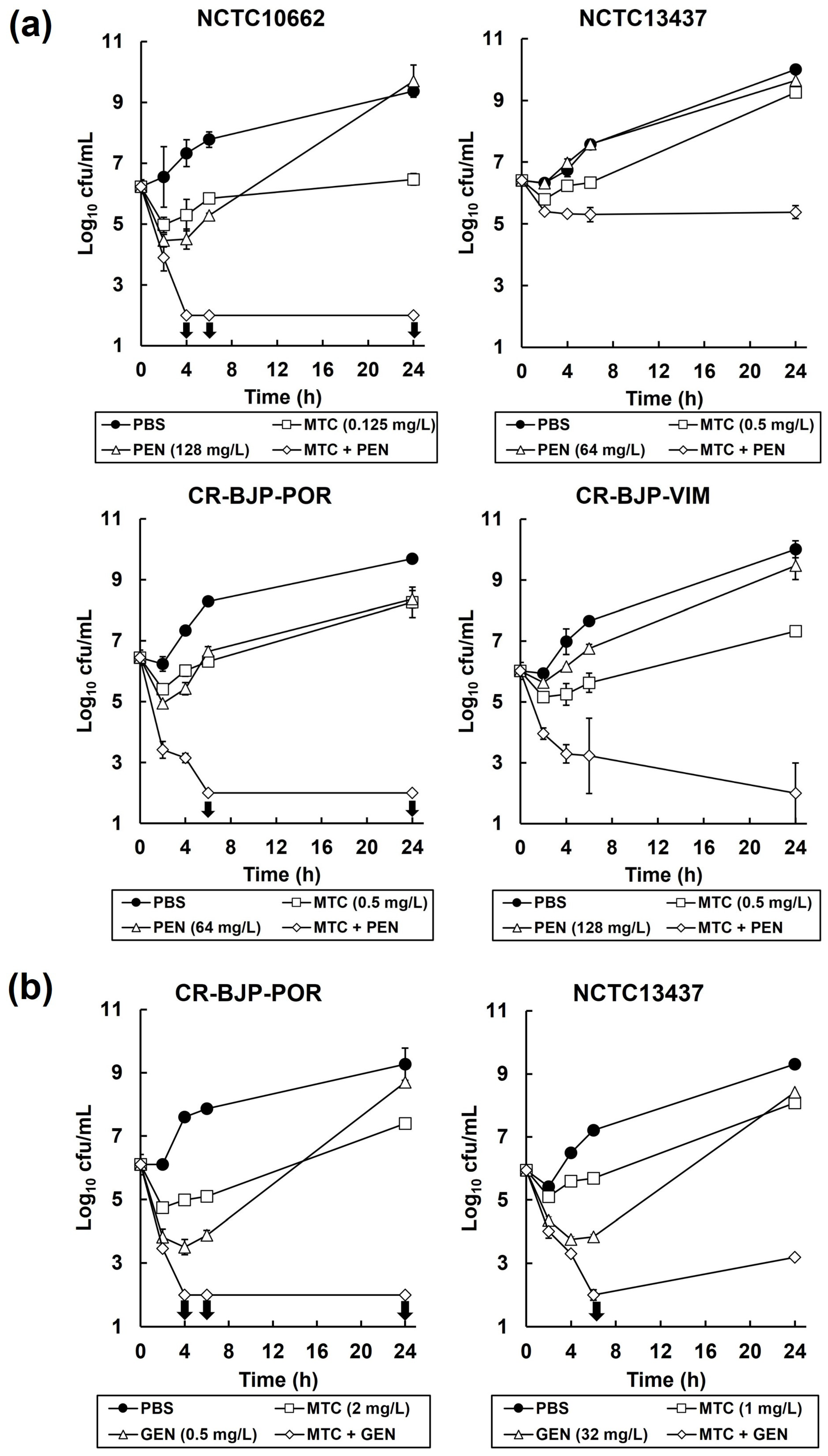 Antibiotics 13 00177 g004