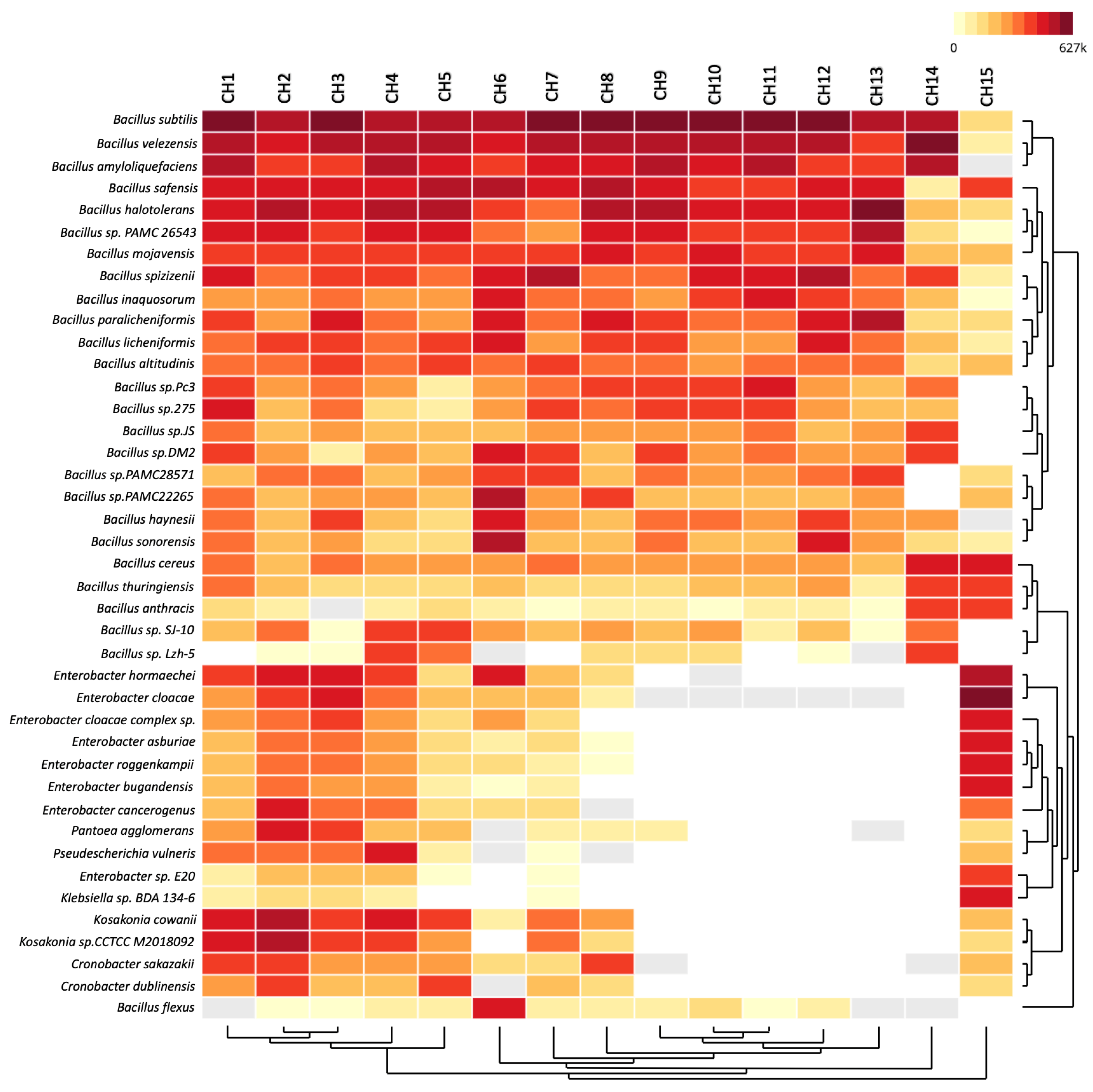 Antibiotics 13 00182 g002