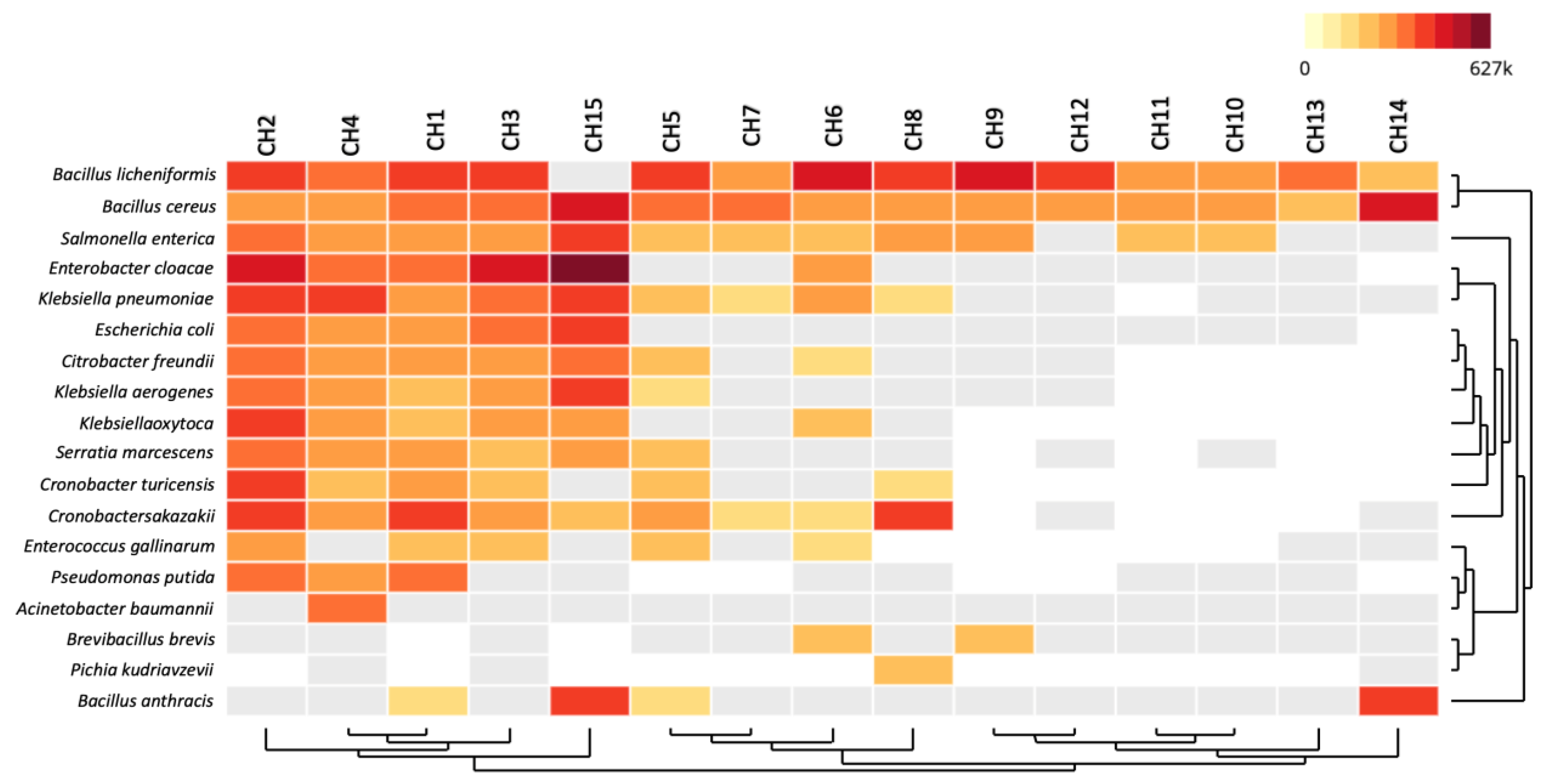 Antibiotics 13 00182 g004
