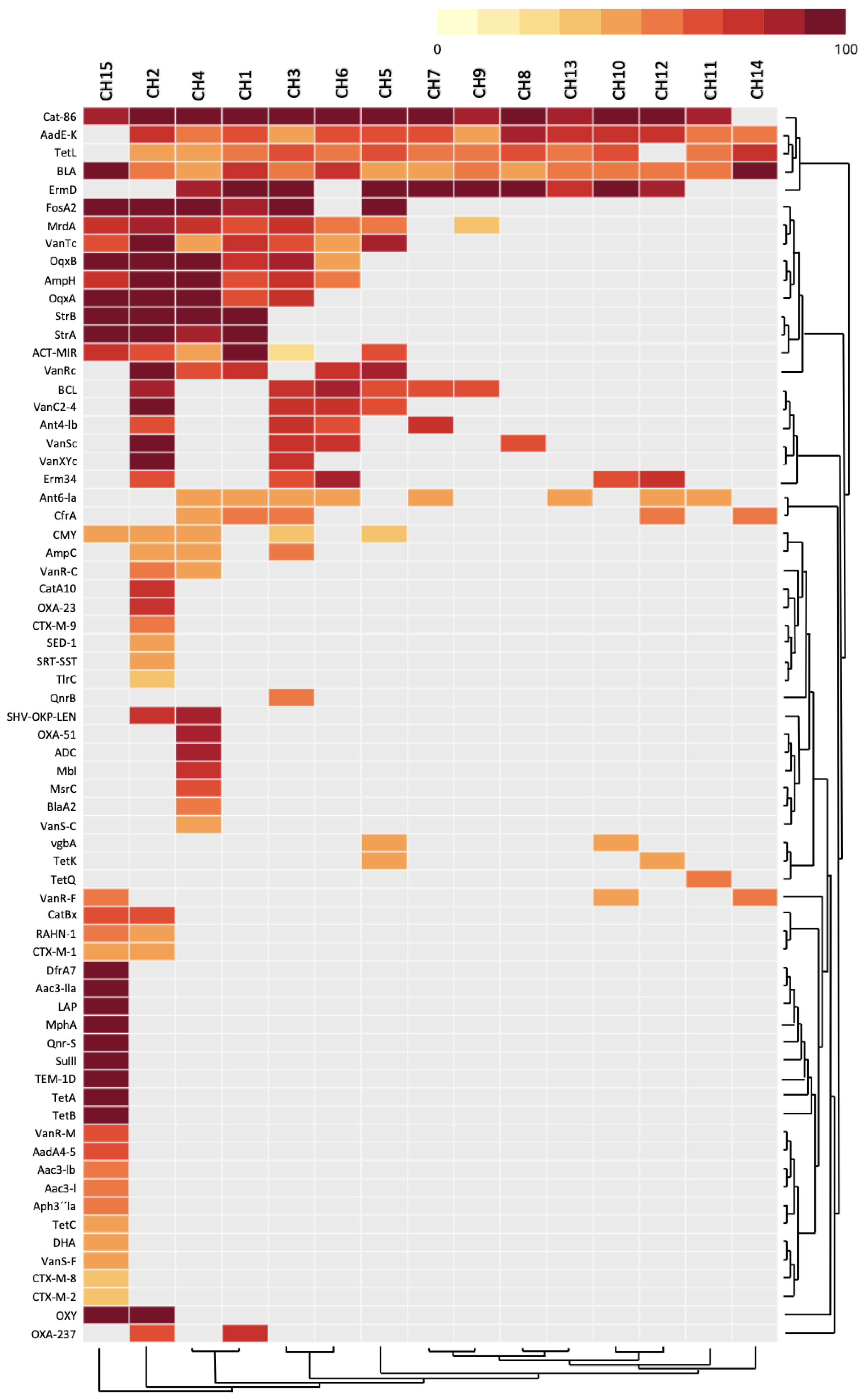 Antibiotics 13 00182 g006