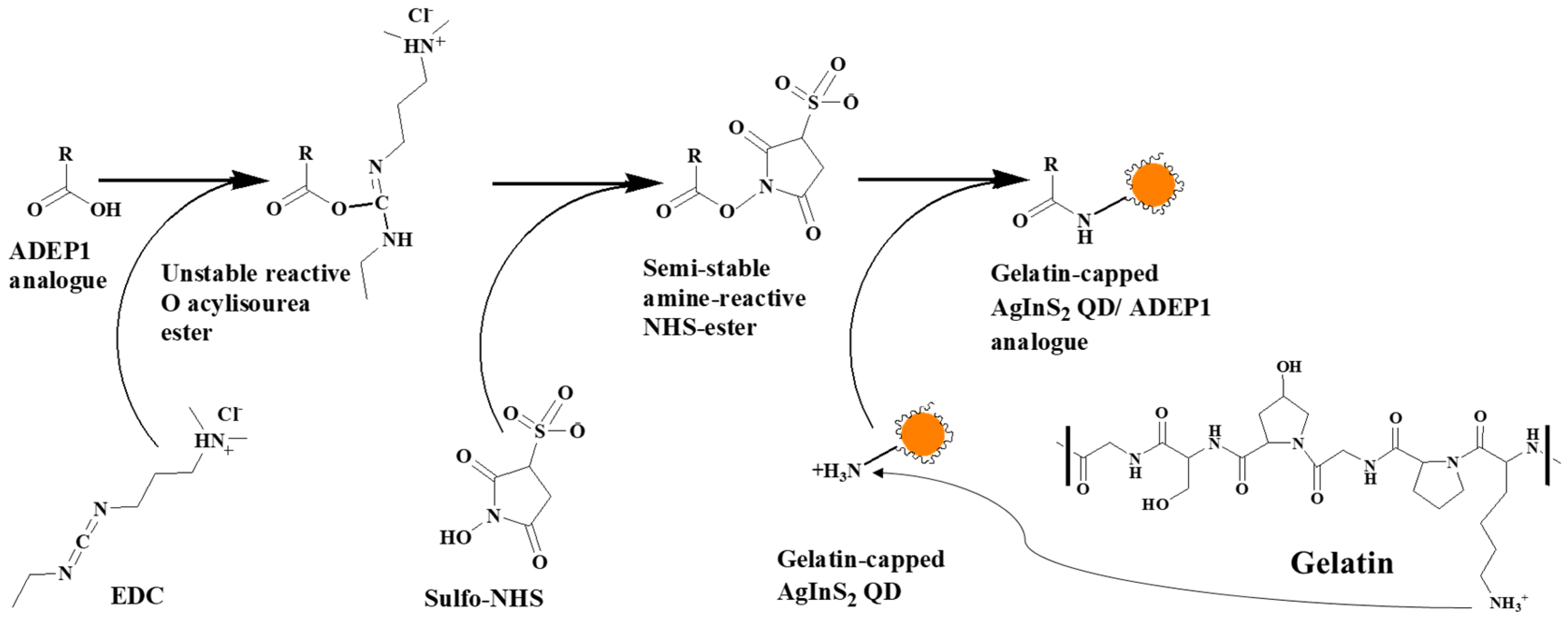 Antibiotics 13 00183 sch002