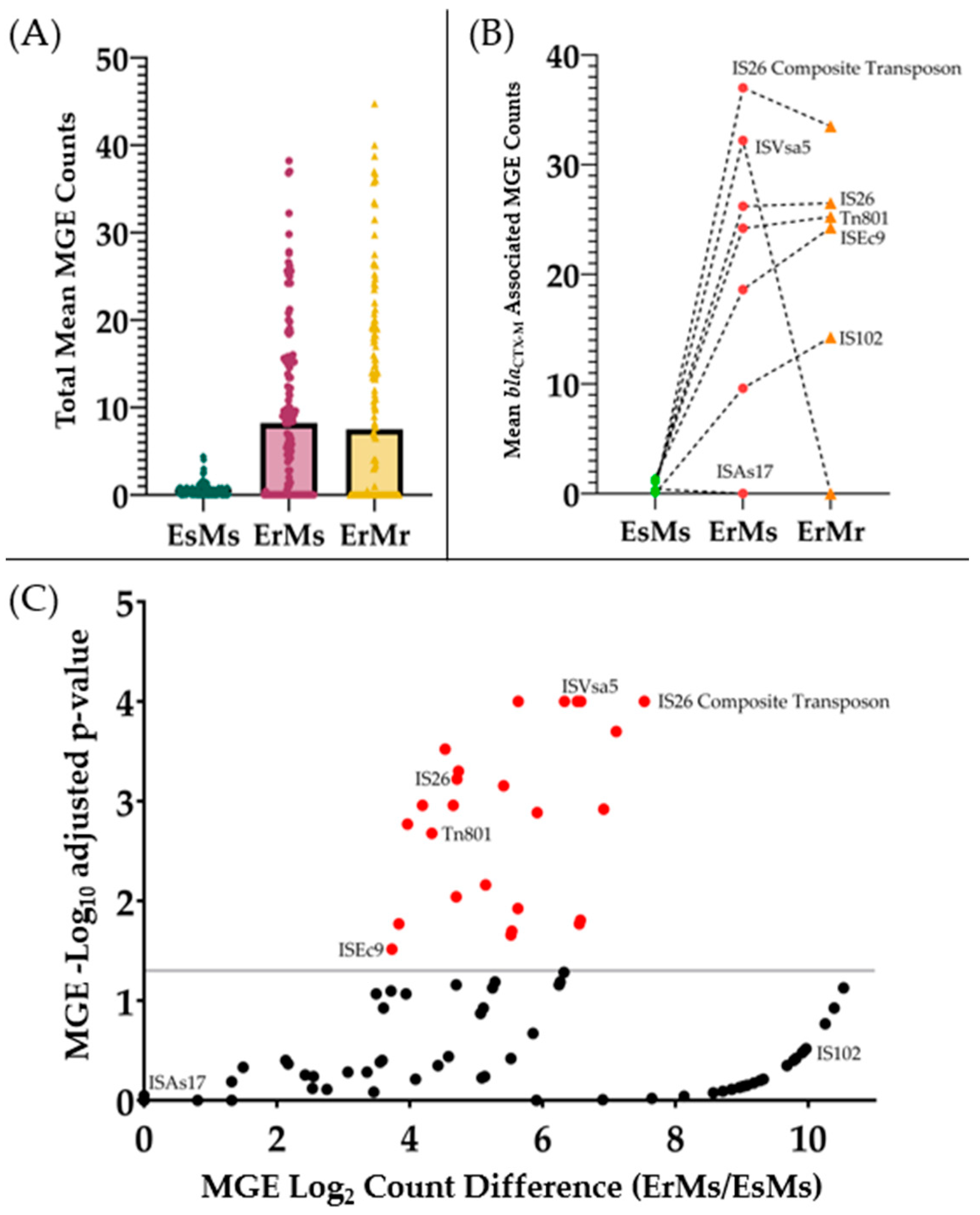 Antibiotics 13 00185 g001