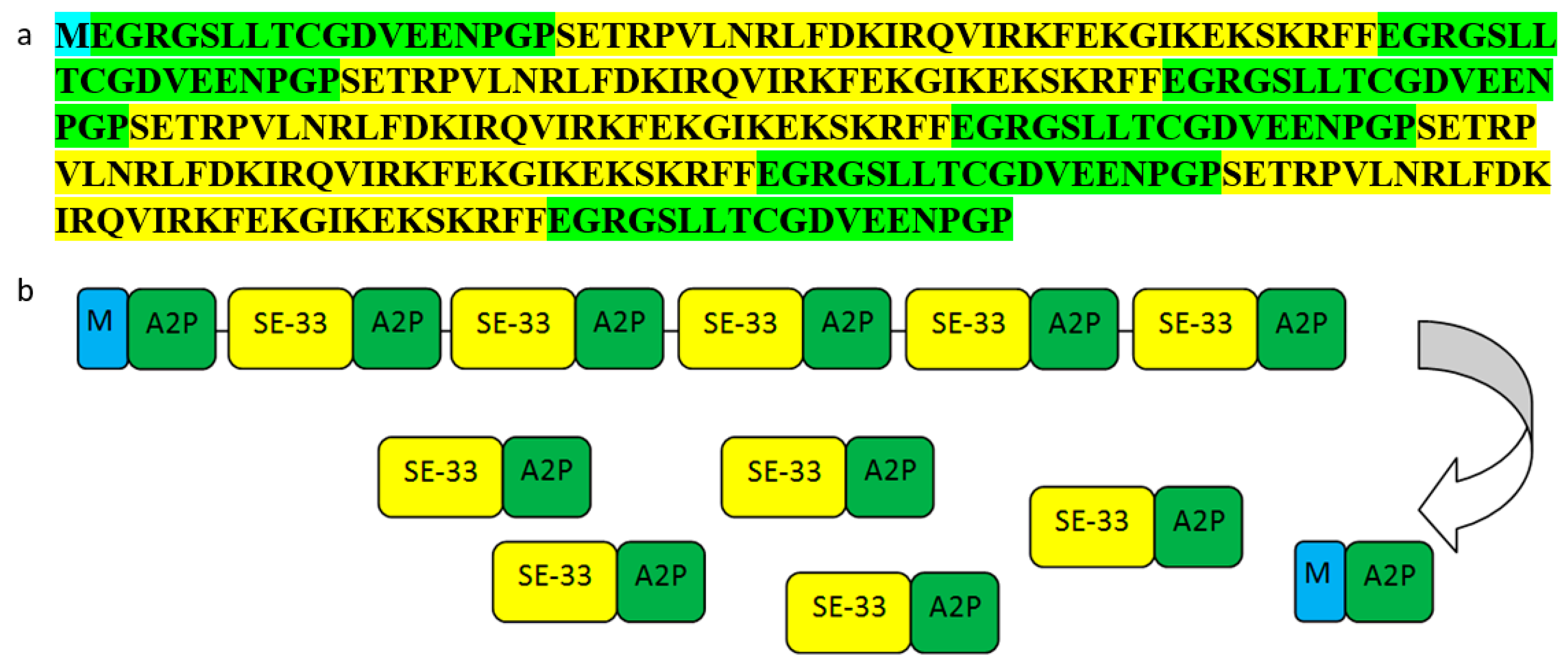 Antibiotics 13 00190 g002