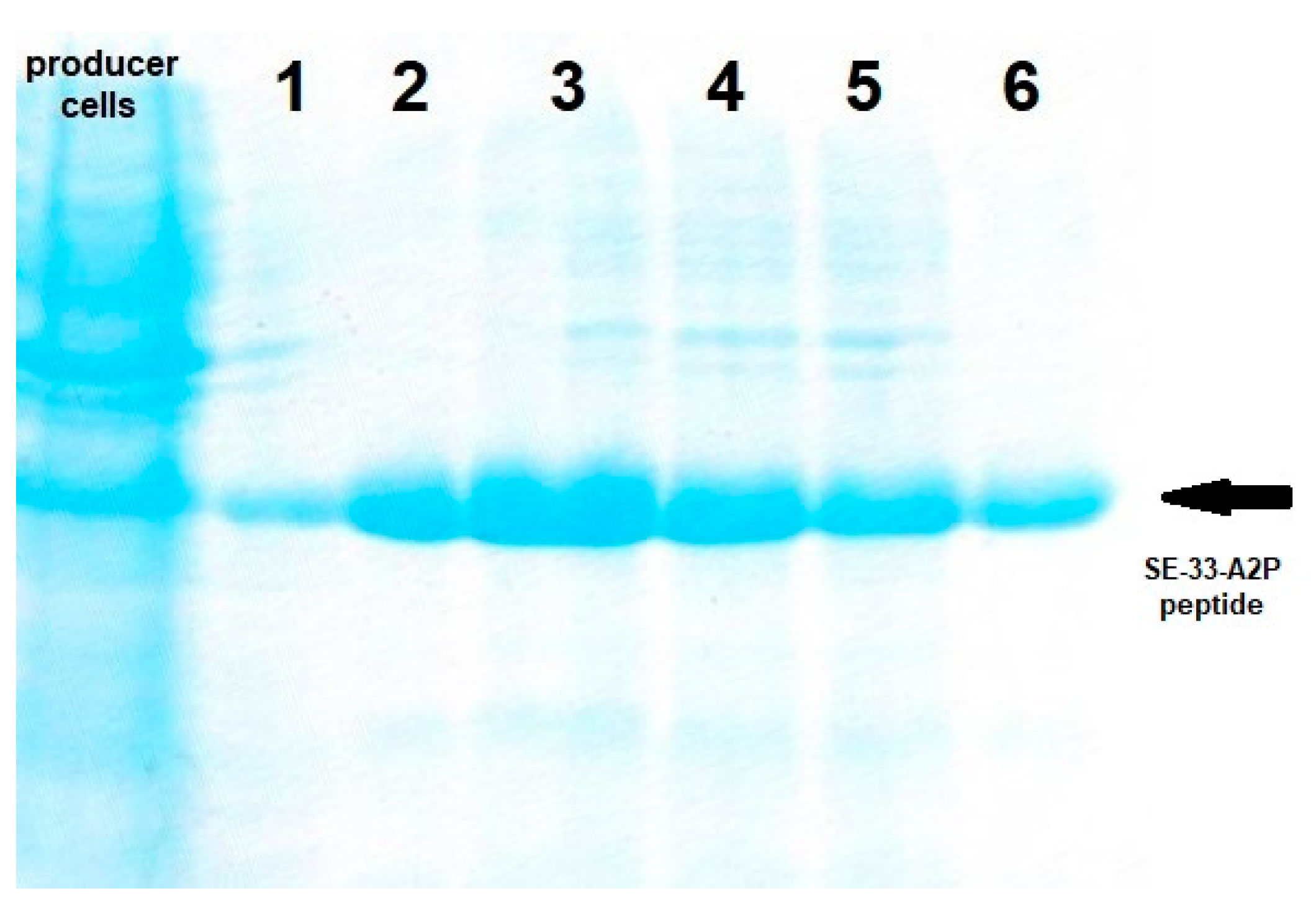 Antibiotics 13 00190 g007
