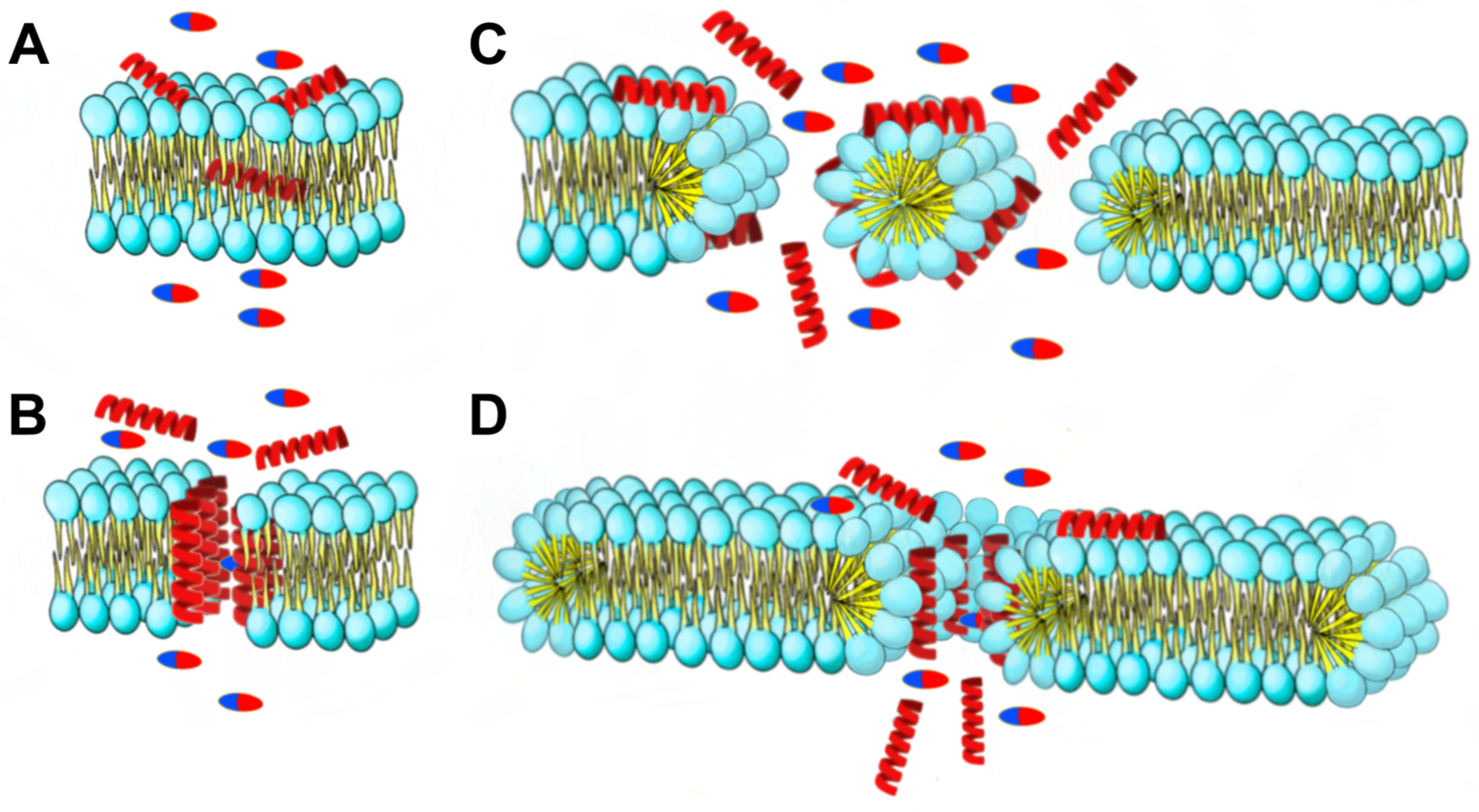 Antibiotics 13 00200 g012
