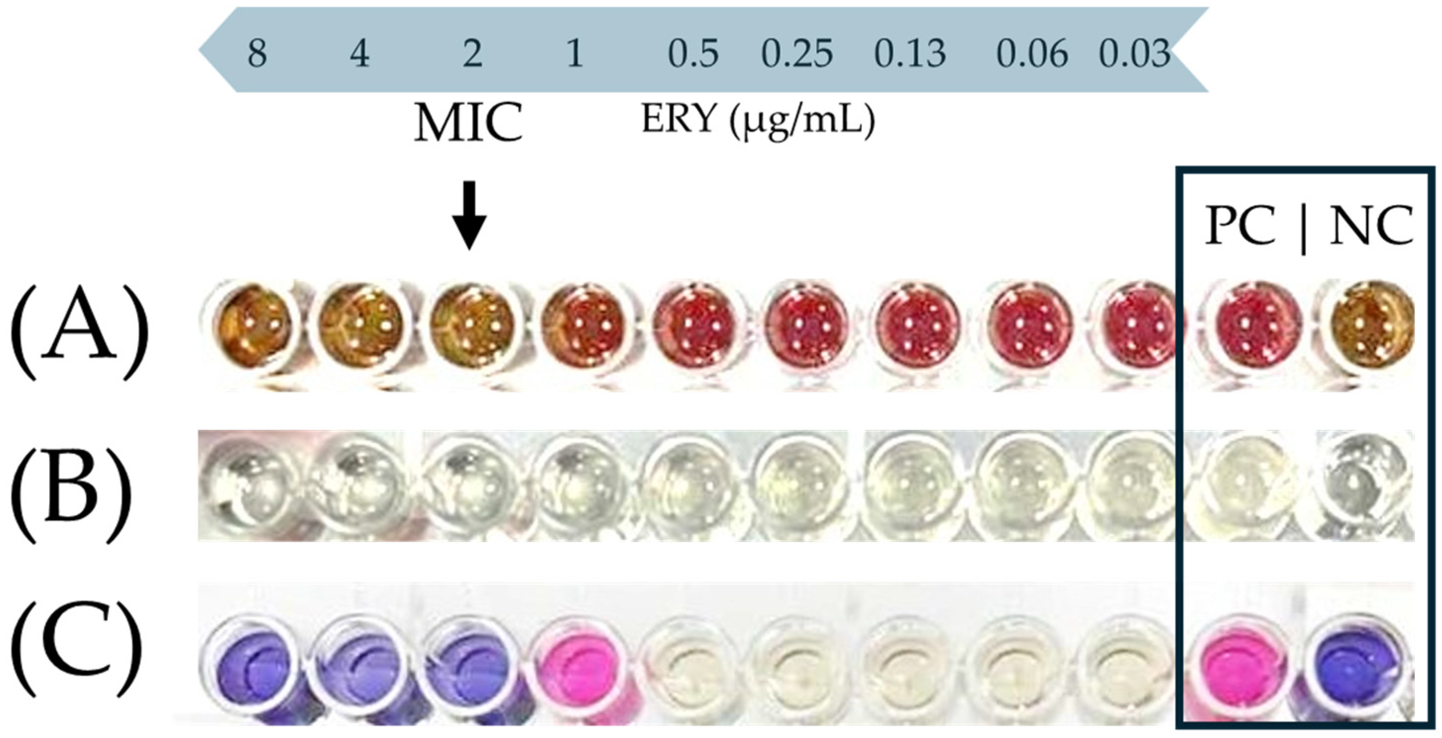 Antibiotics 13 00201 g001