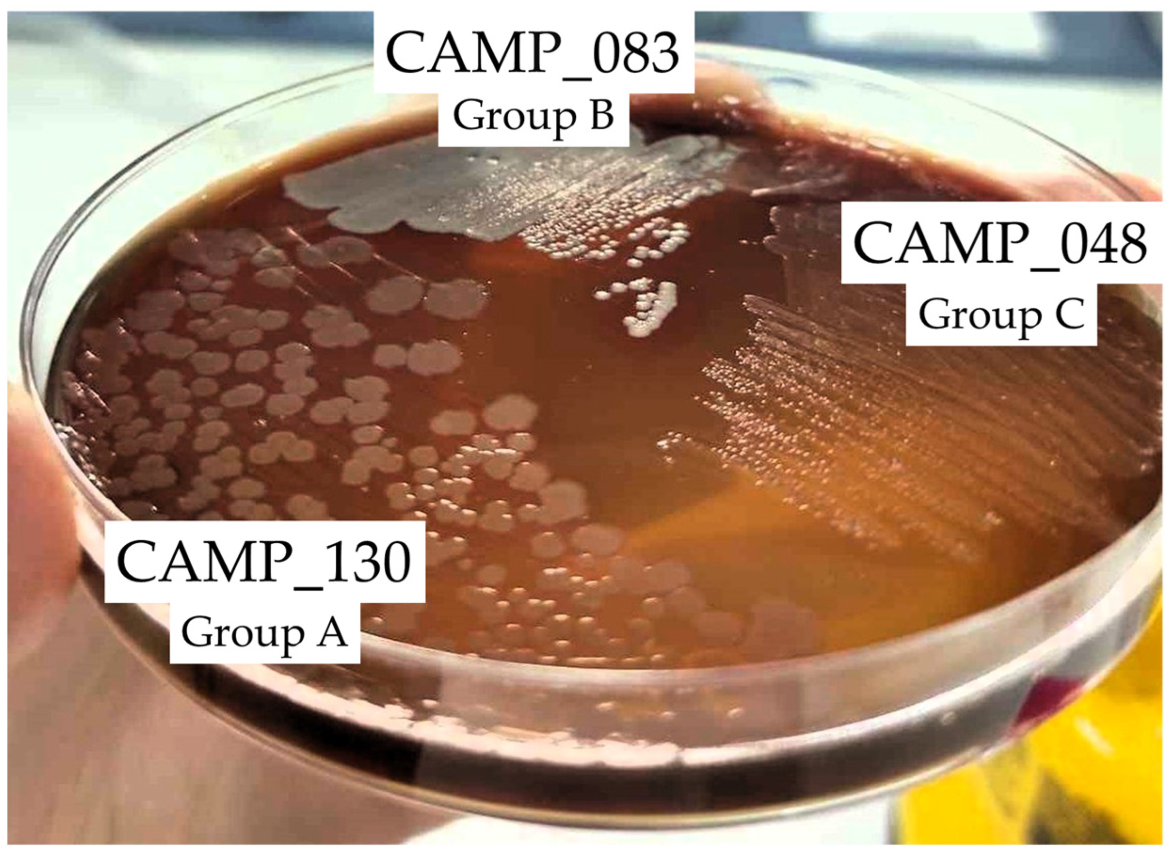 Antibiotics 13 00201 g003