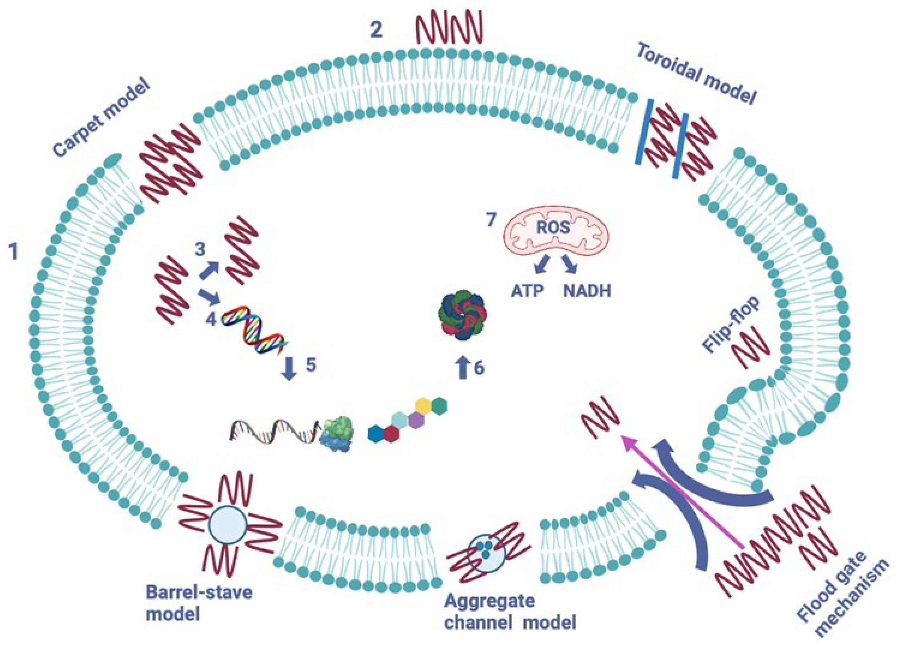 Antibiotics 13 00202 g004