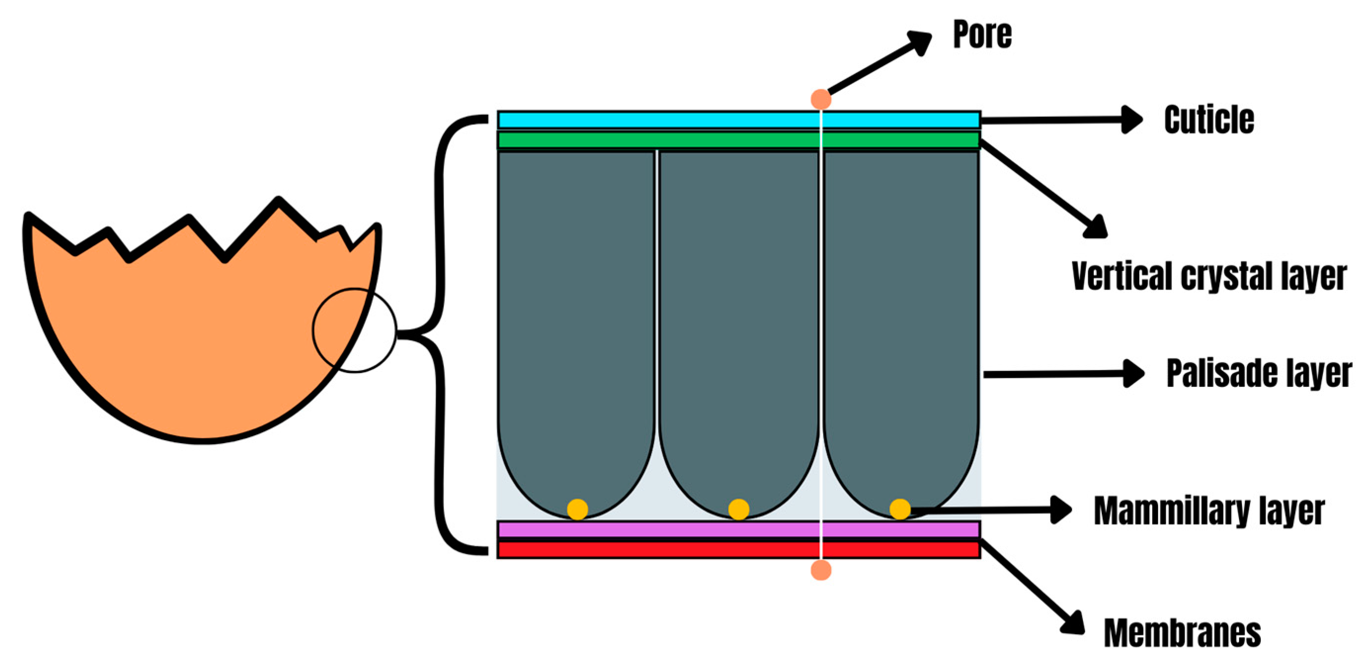 Antibiotics 13 00205 g001
