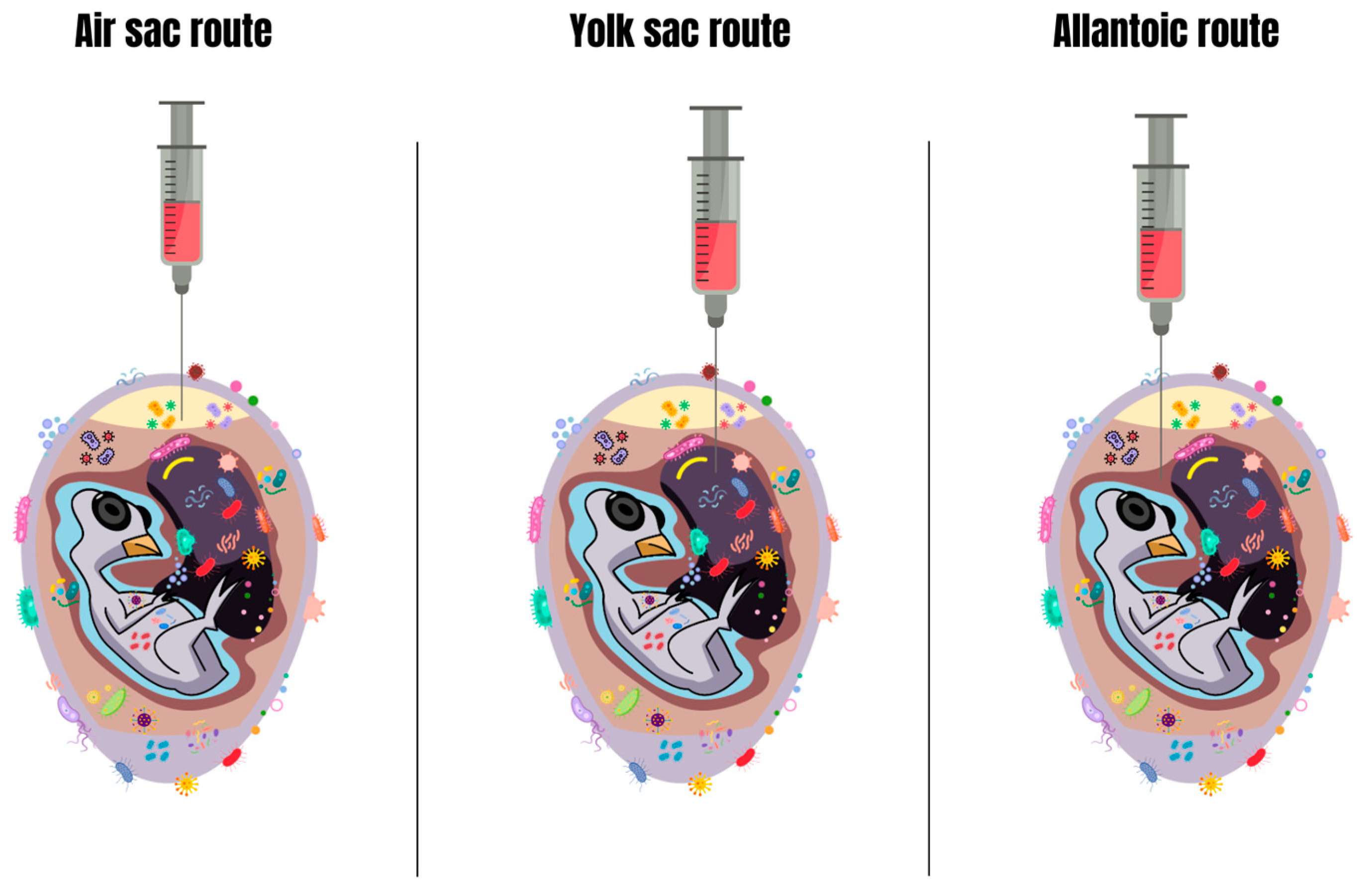 Antibiotics 13 00205 g004