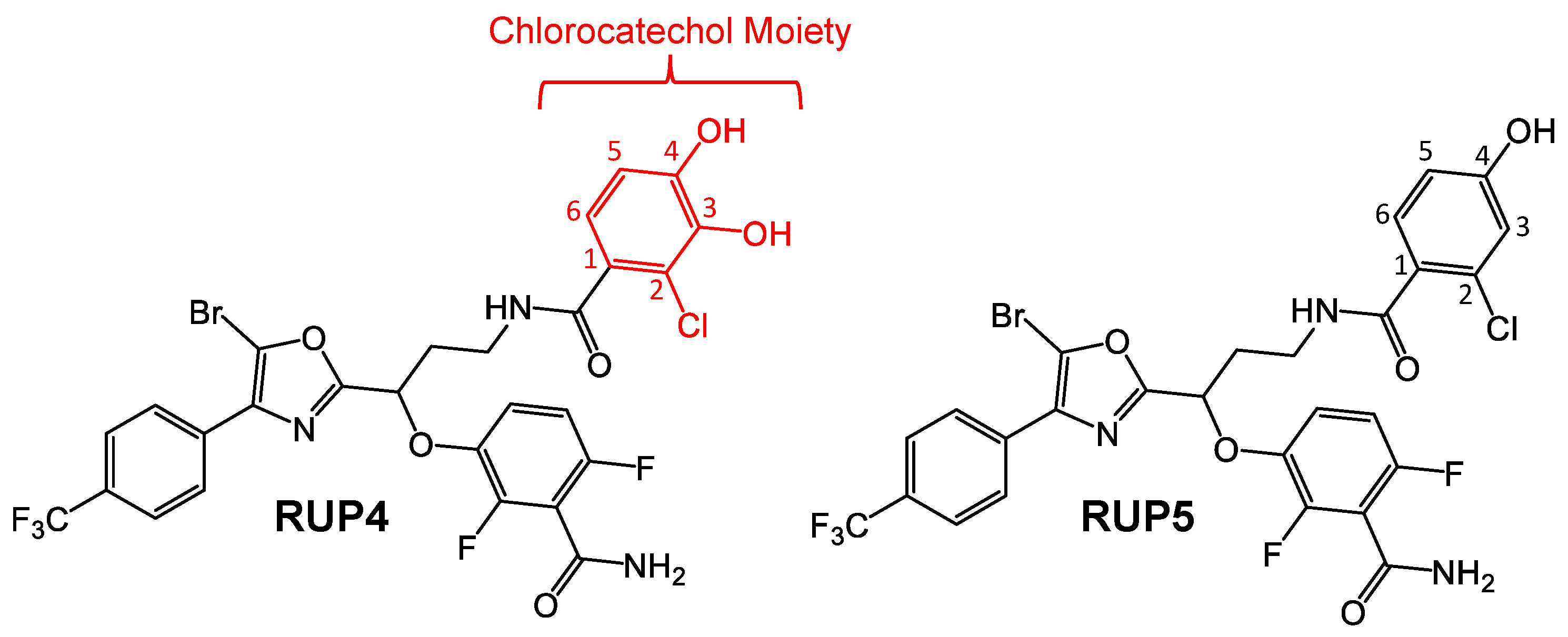 Antibiotics 13 00209 g001