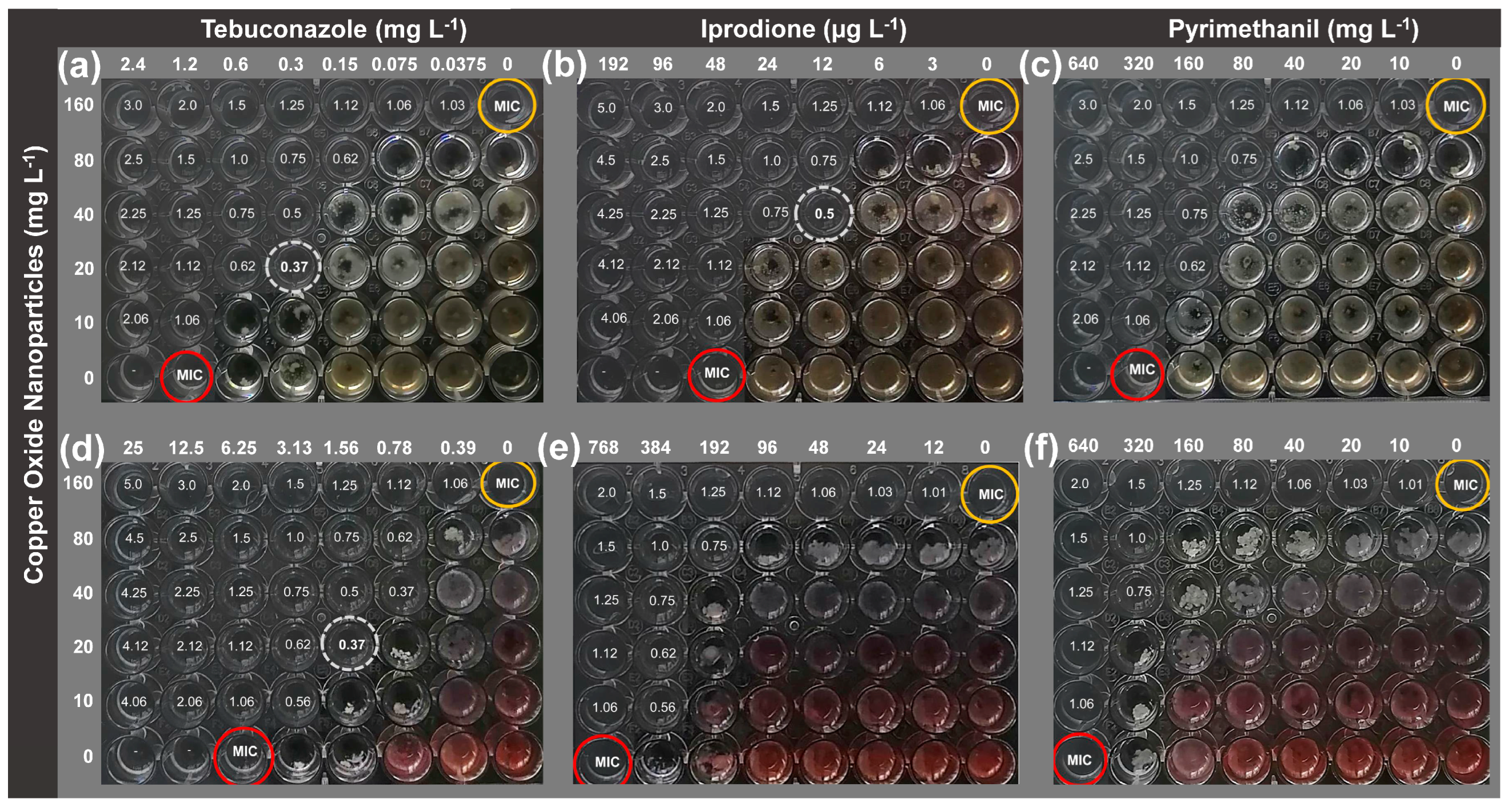Antibiotics 13 00215 g001