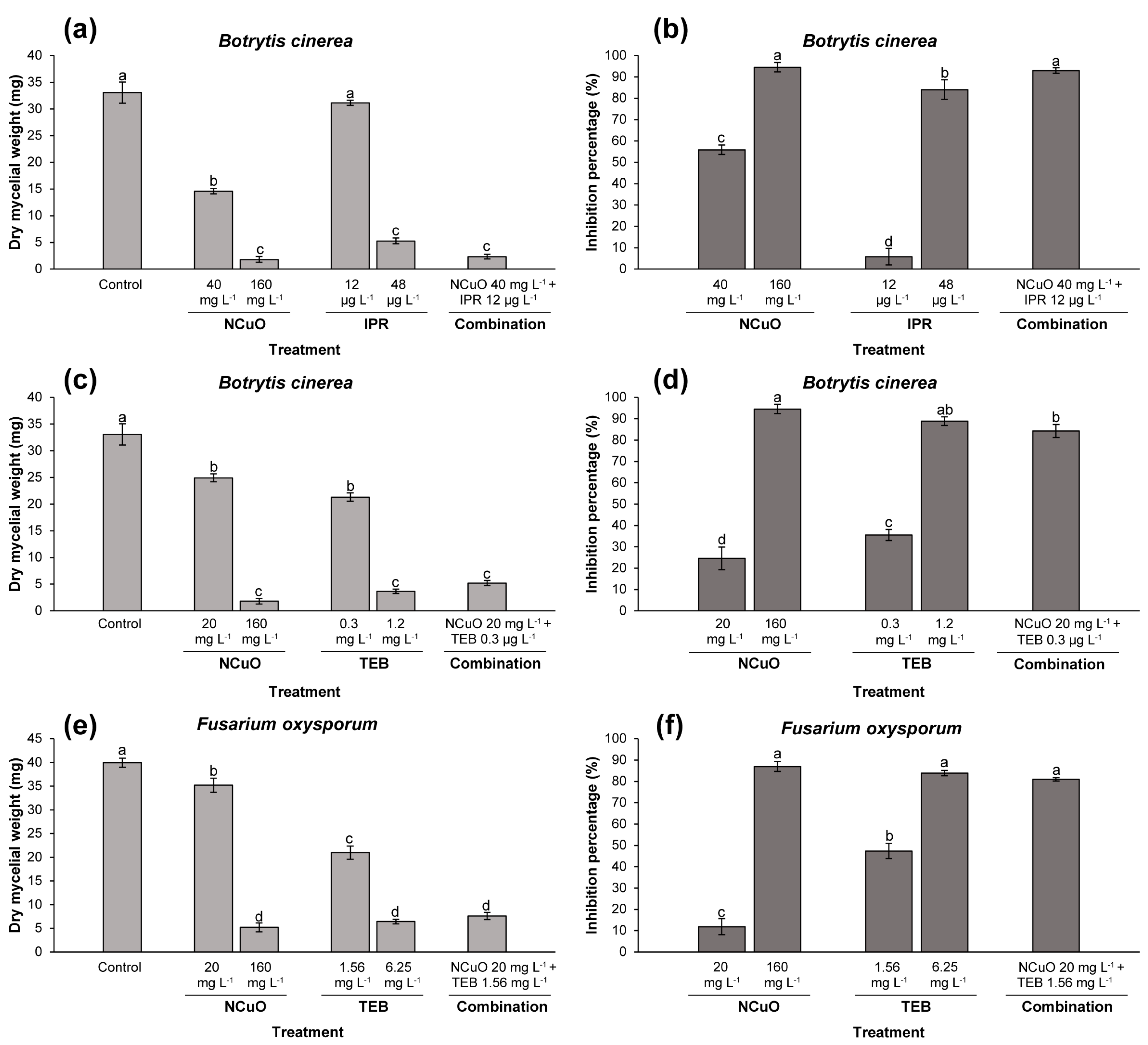 Antibiotics 13 00215 g002