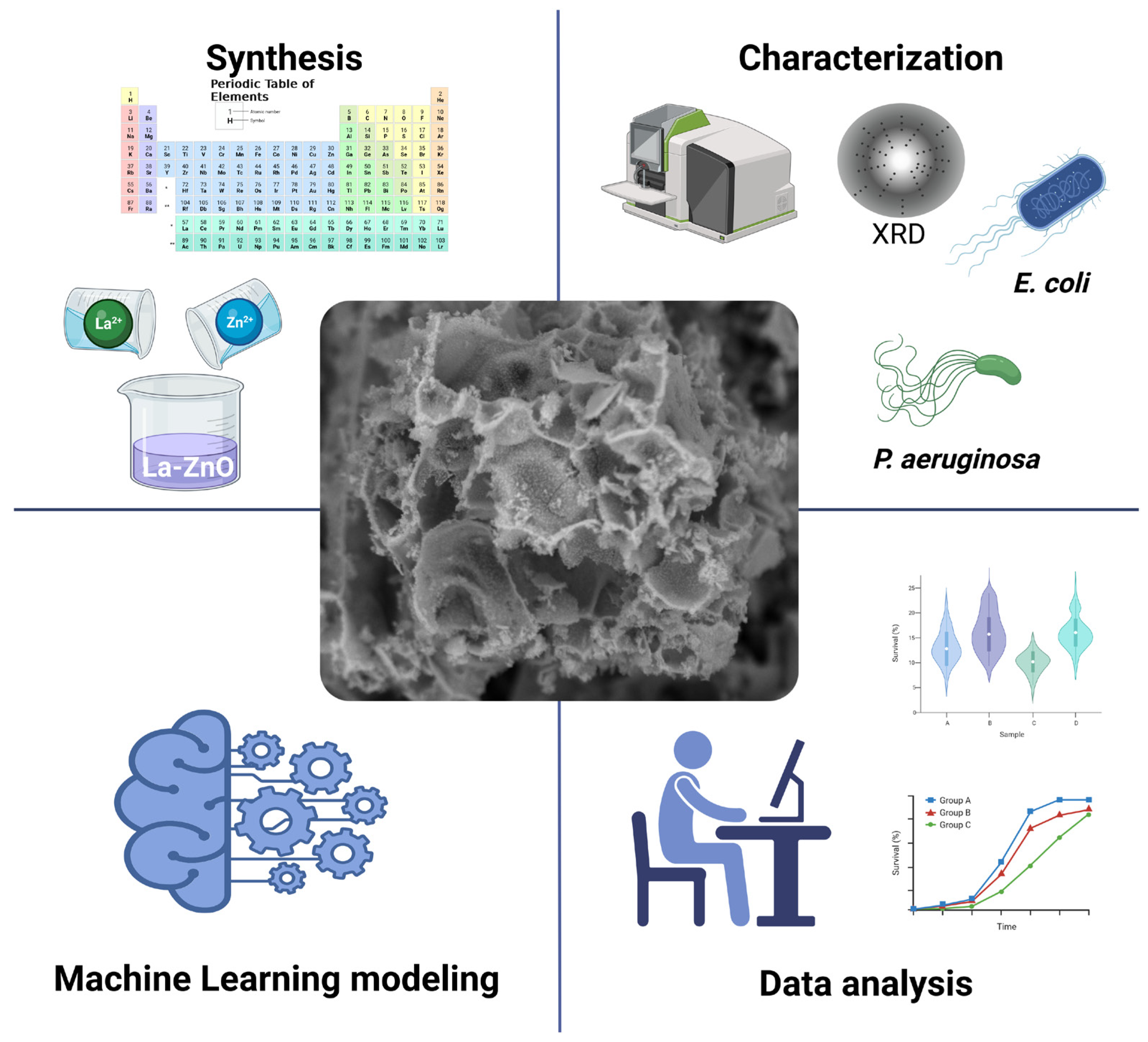Antibiotics 13 00220 g001