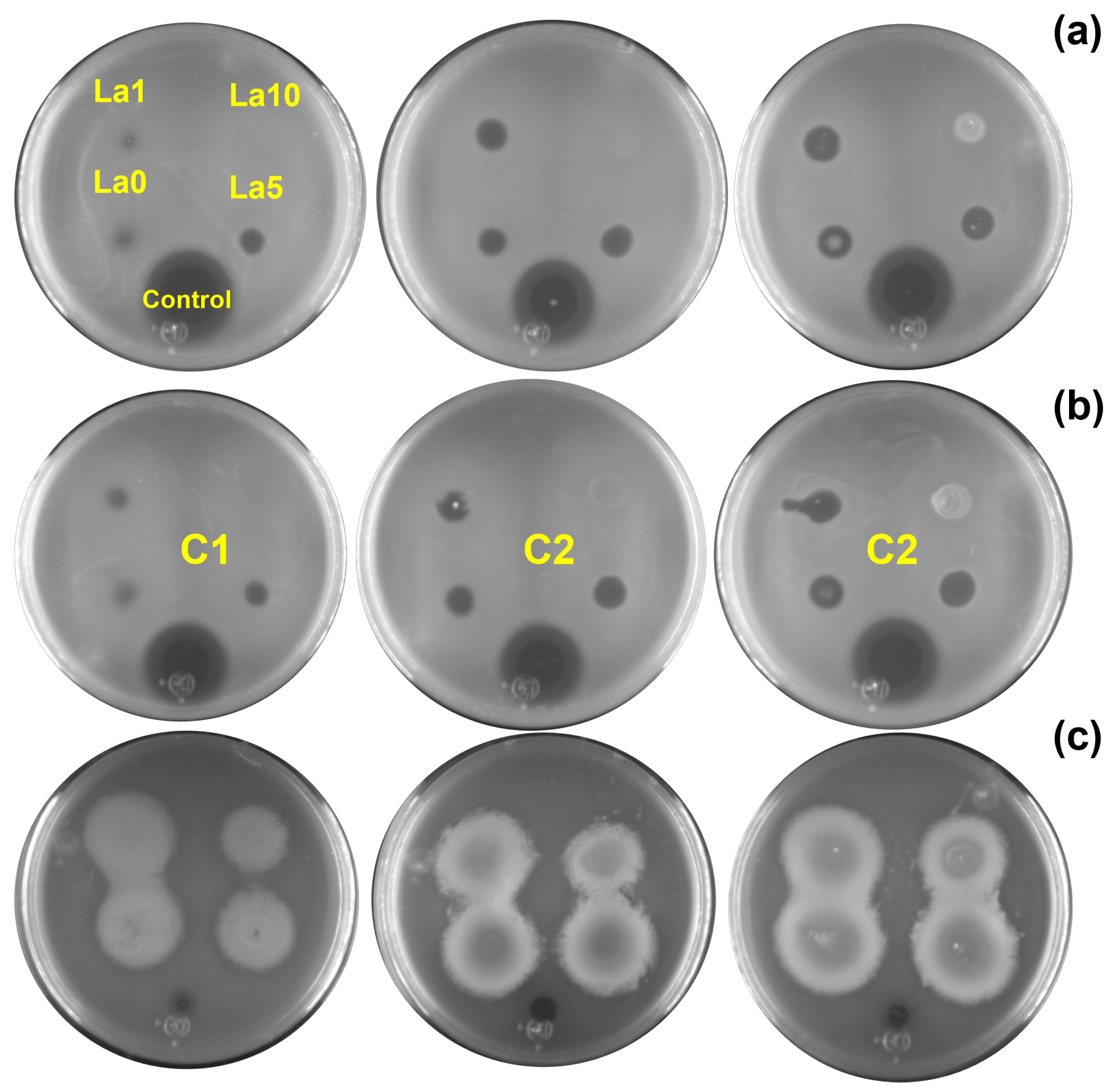 Antibiotics 13 00220 g005