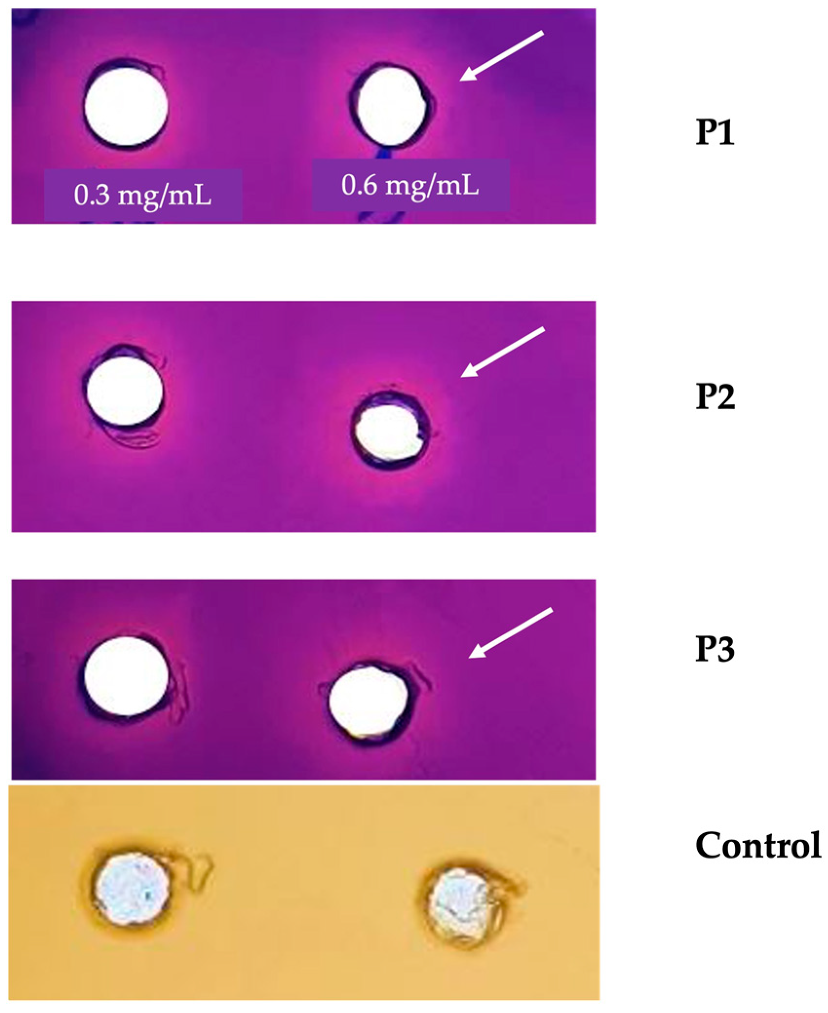 Antibiotics 13 00230 g001