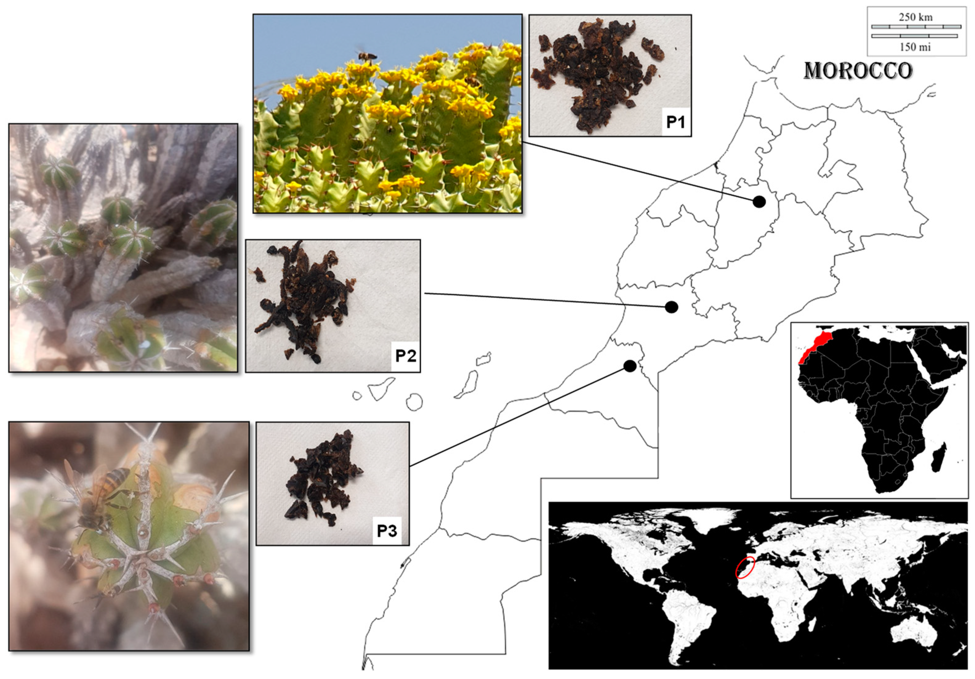 Antibiotics 13 00230 g004