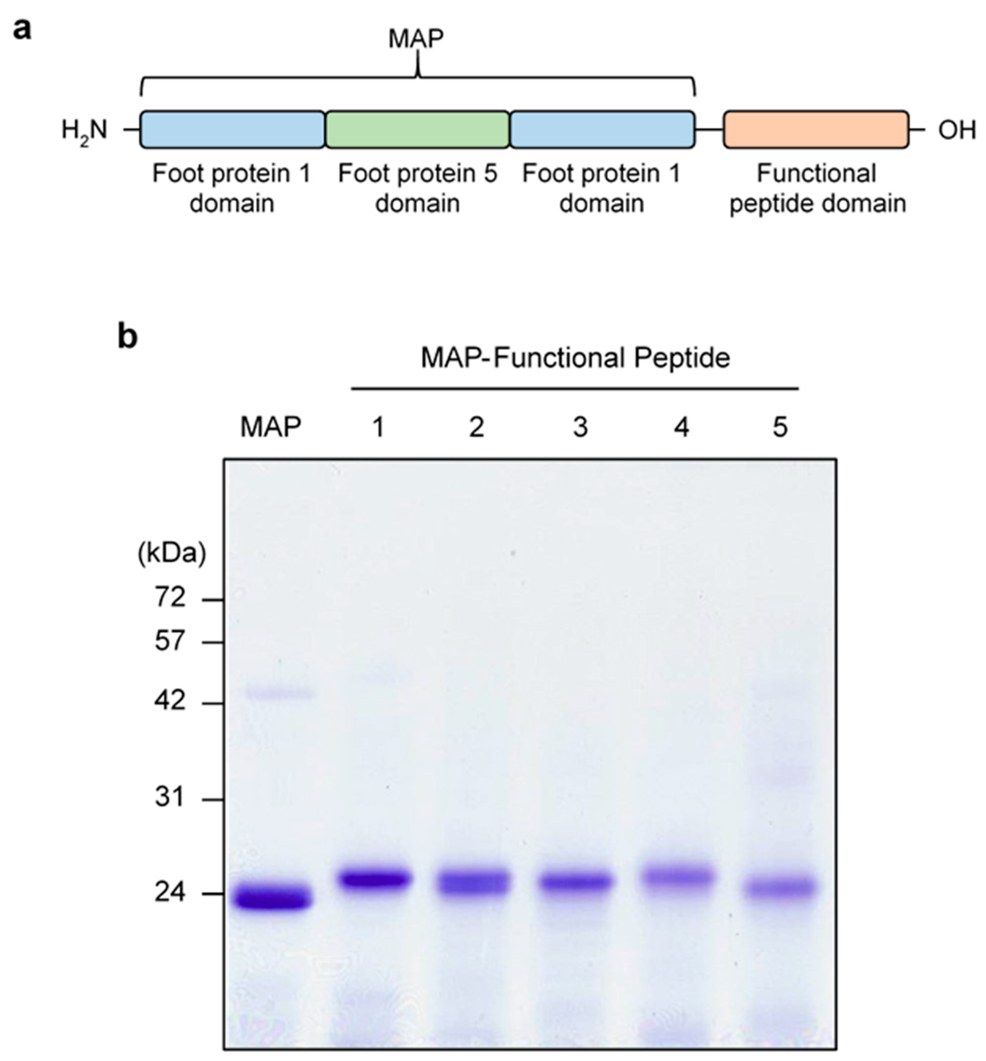 Antibiotics 13 00239 g001