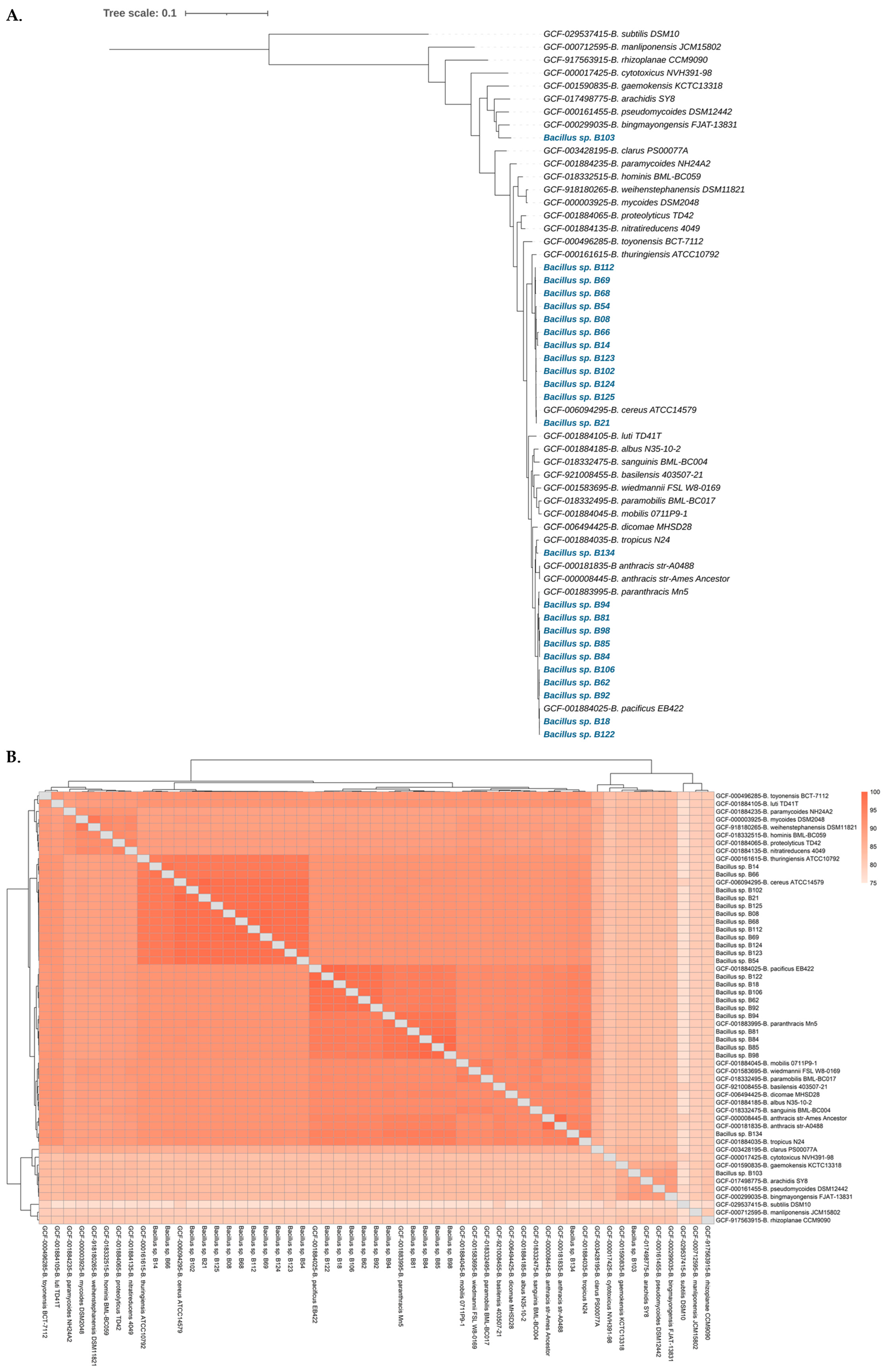 Antibiotics 13 00245 g001