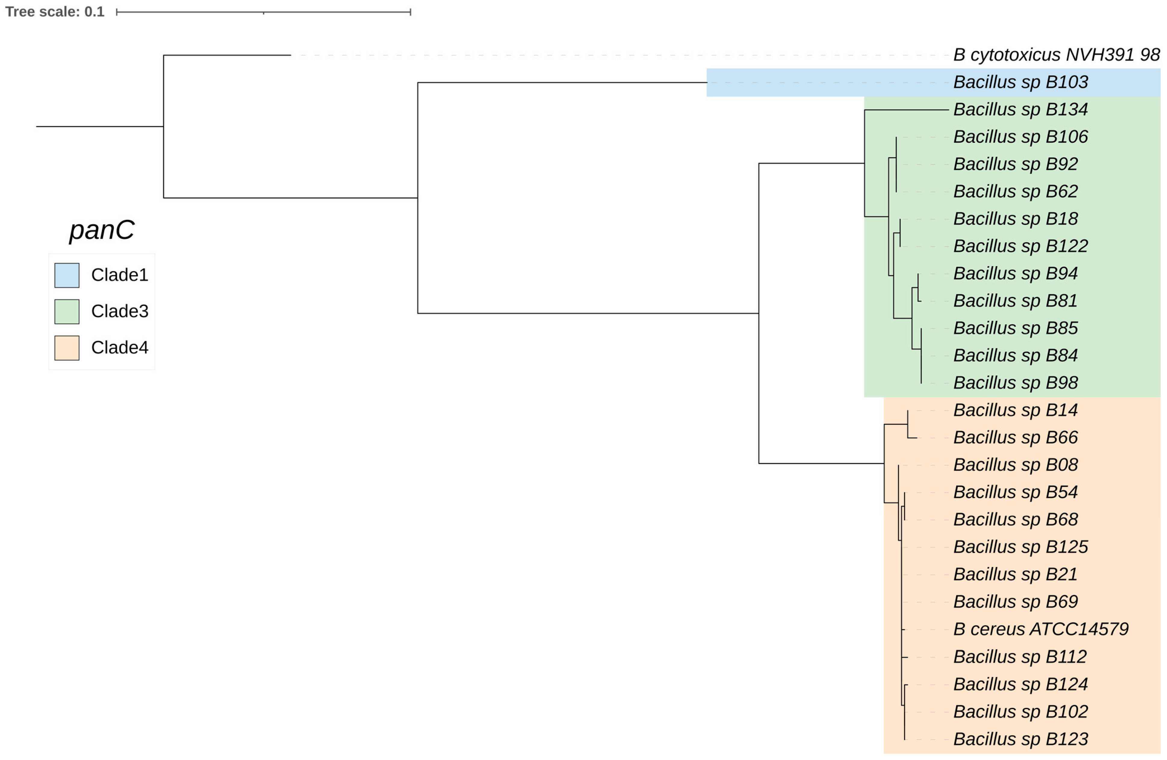 Antibiotics 13 00245 g002