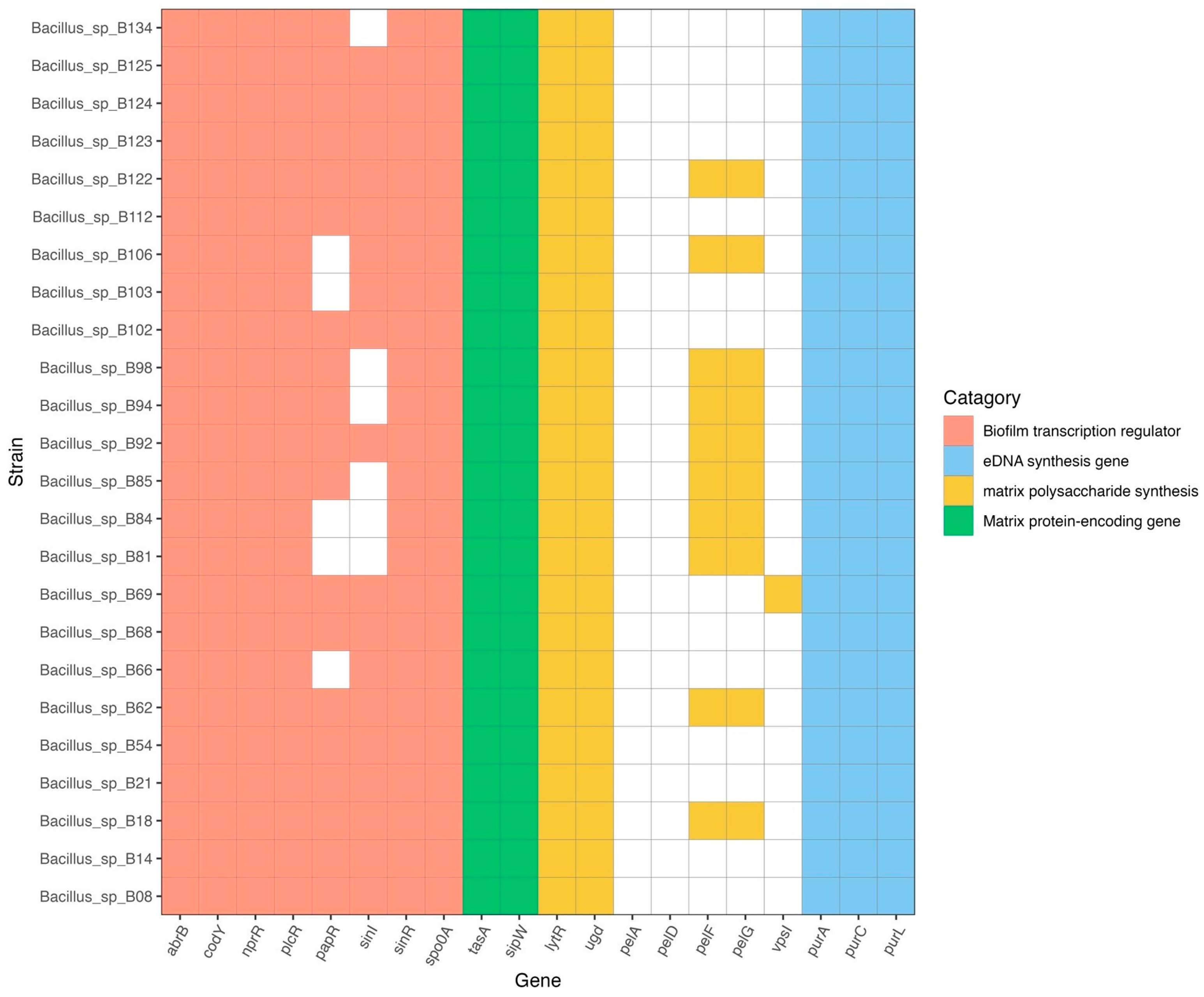 Antibiotics 13 00245 g006