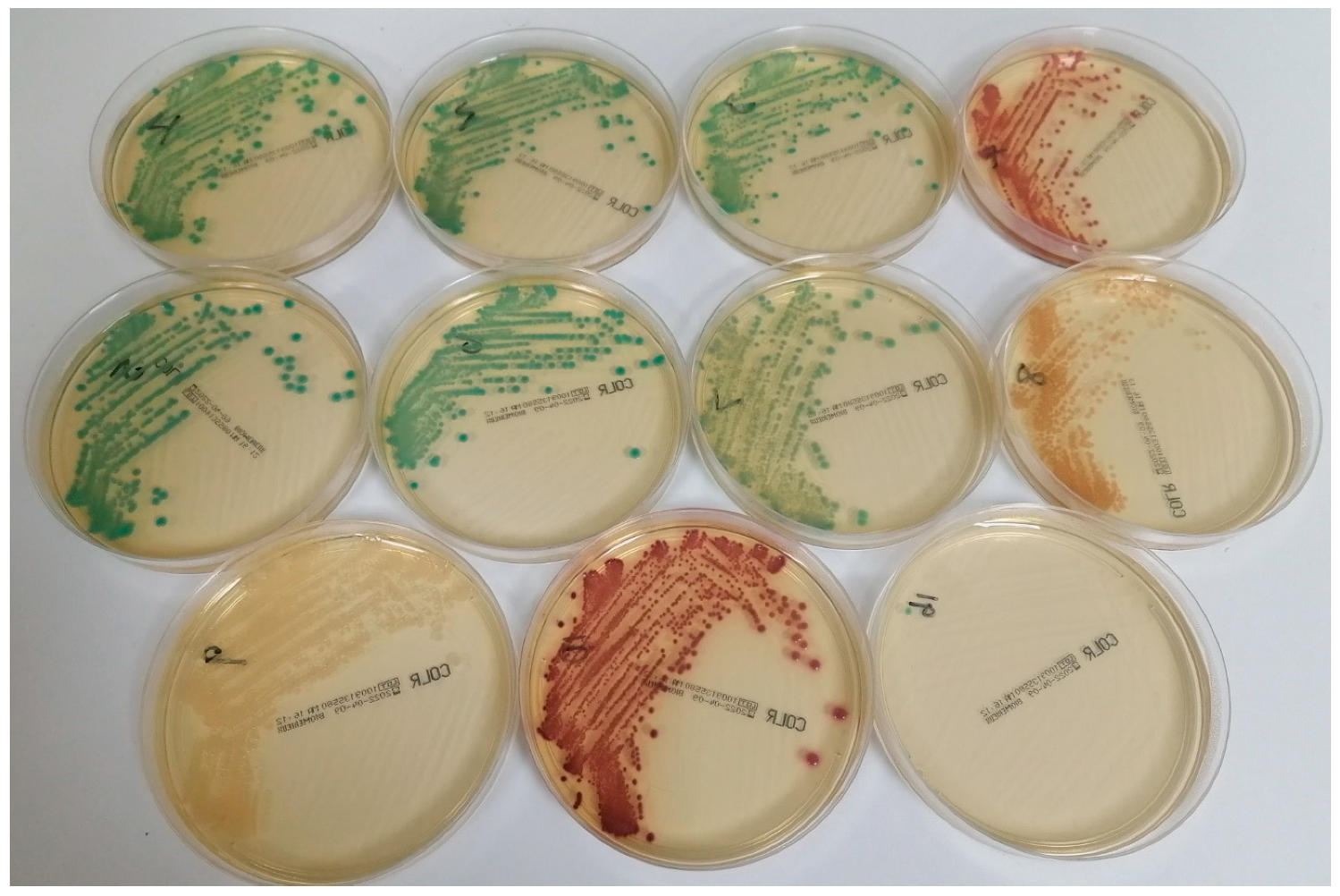 Antibiotics 13 00246 g001