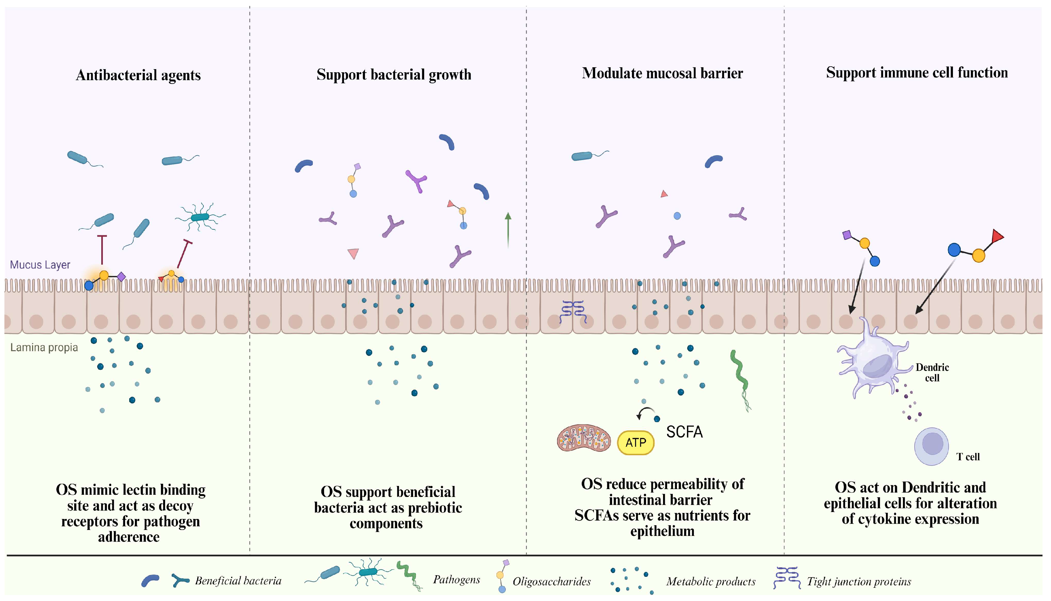 Antibiotics 13 00251 g005