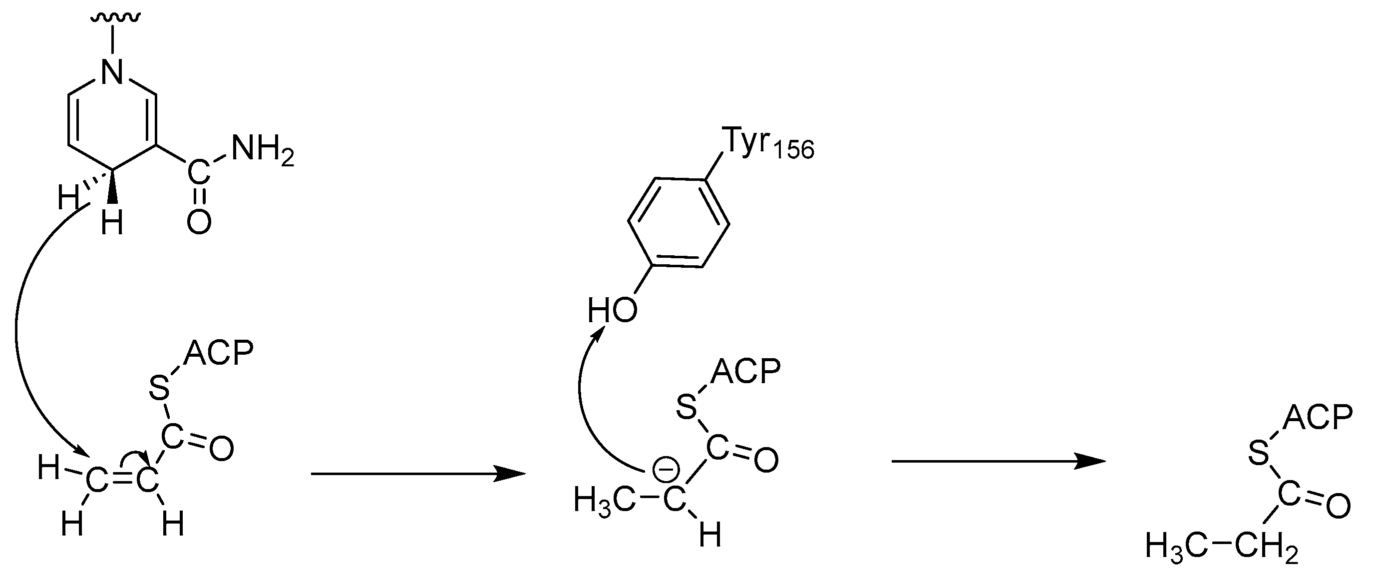 Antibiotics 13 00252 g002