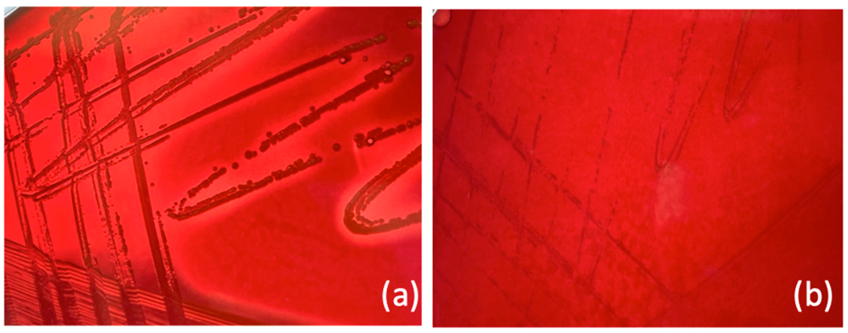 Antibiotics 13 00264 g003