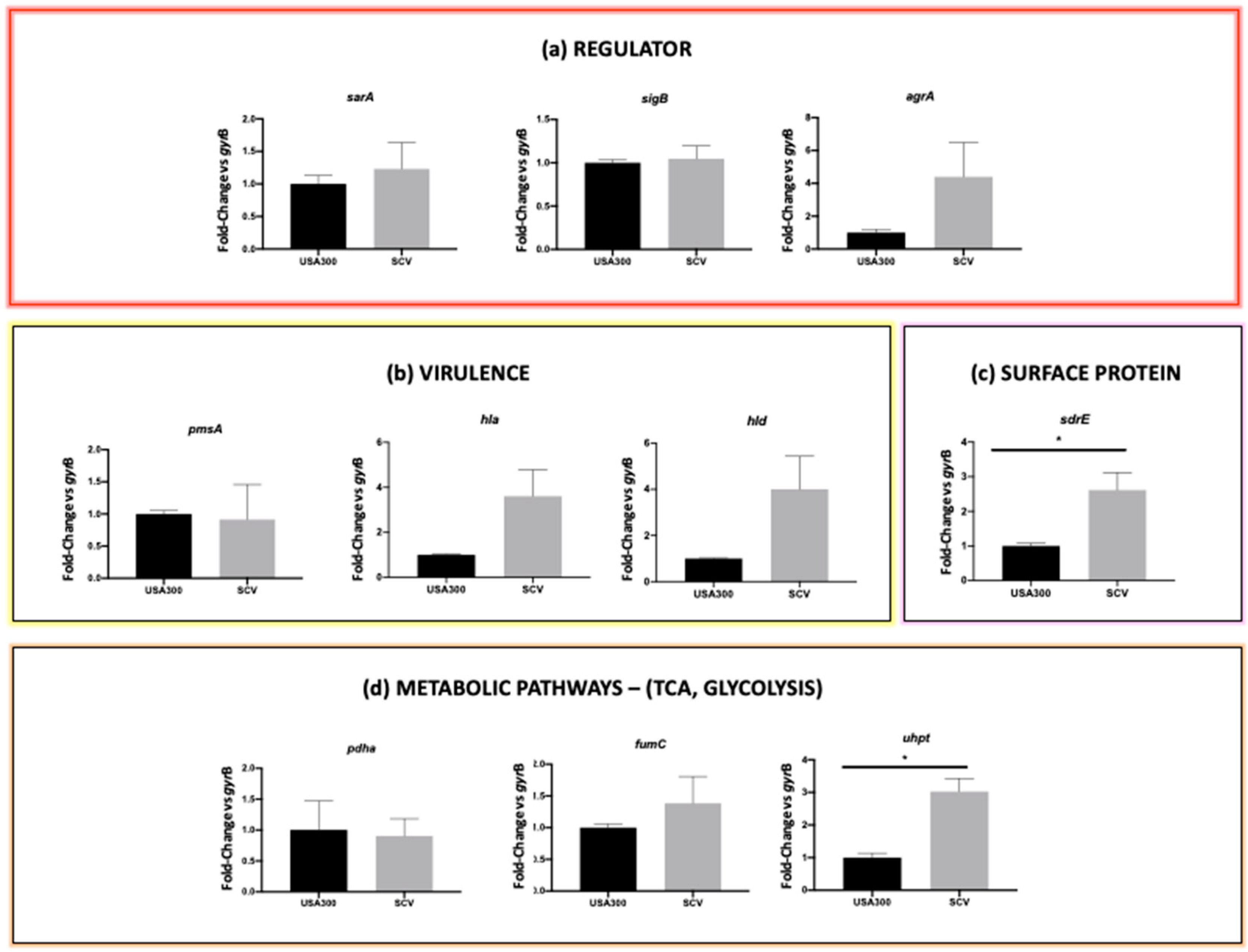 Antibiotics 13 00264 g004
