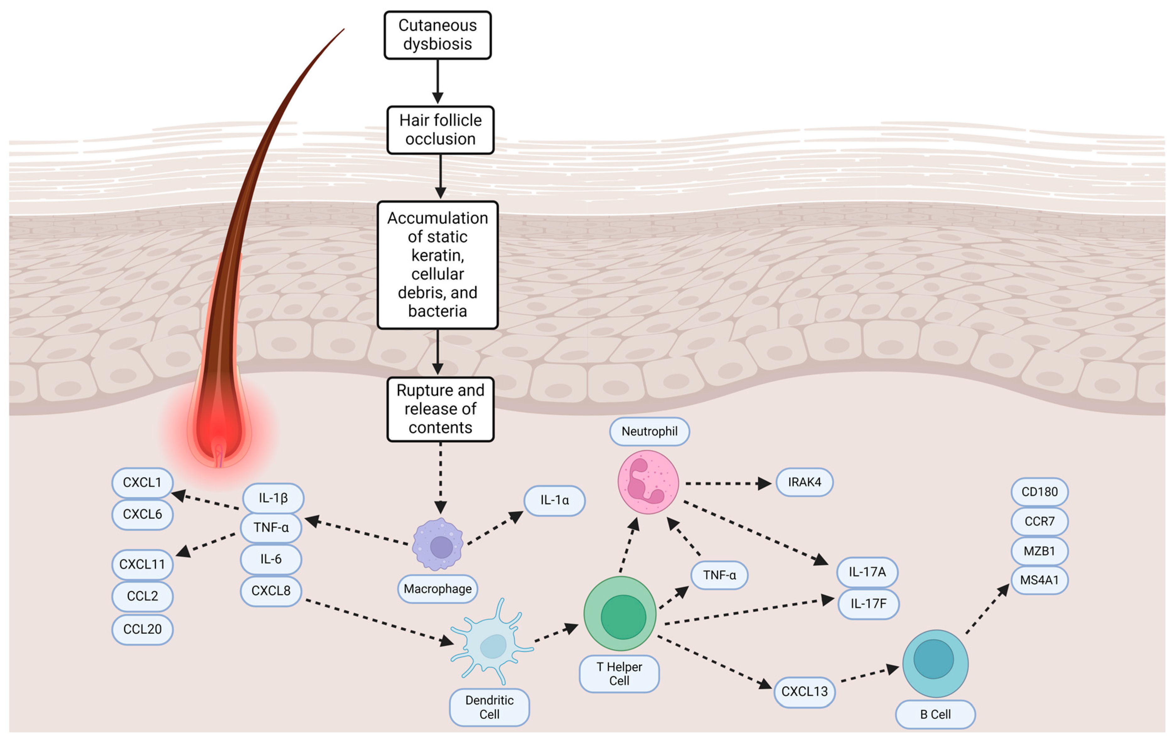 Antibiotics 13 00268 g001