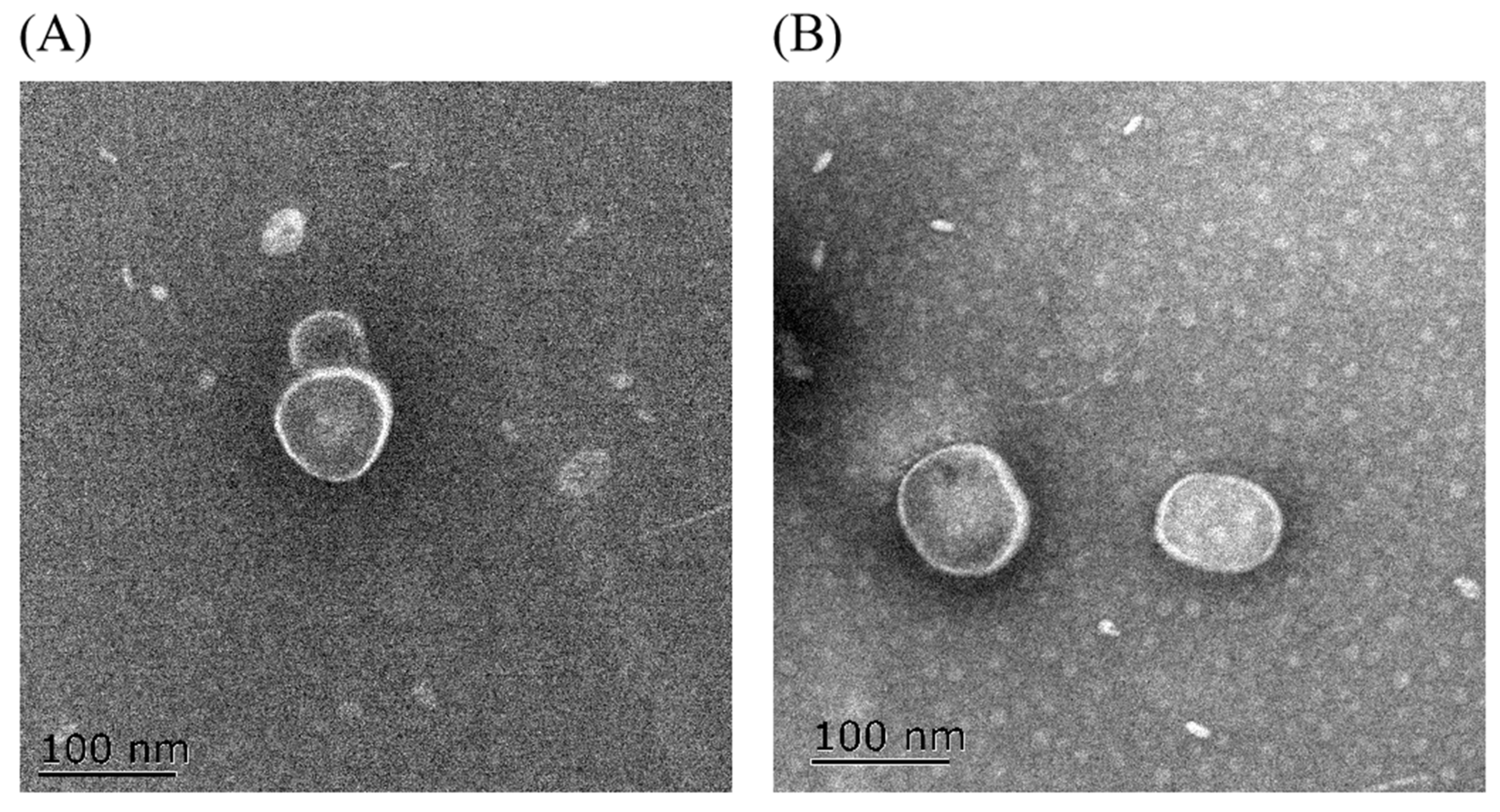 Antibiotics 13 00276 g003