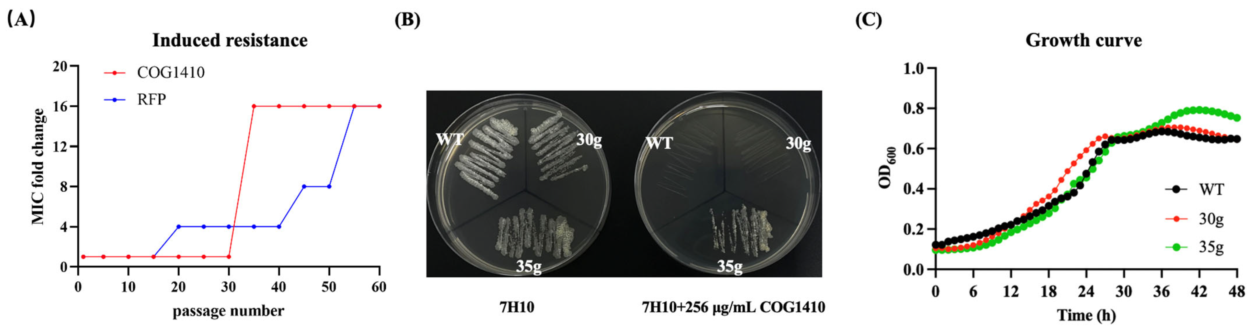 Antibiotics 13 00278 g001