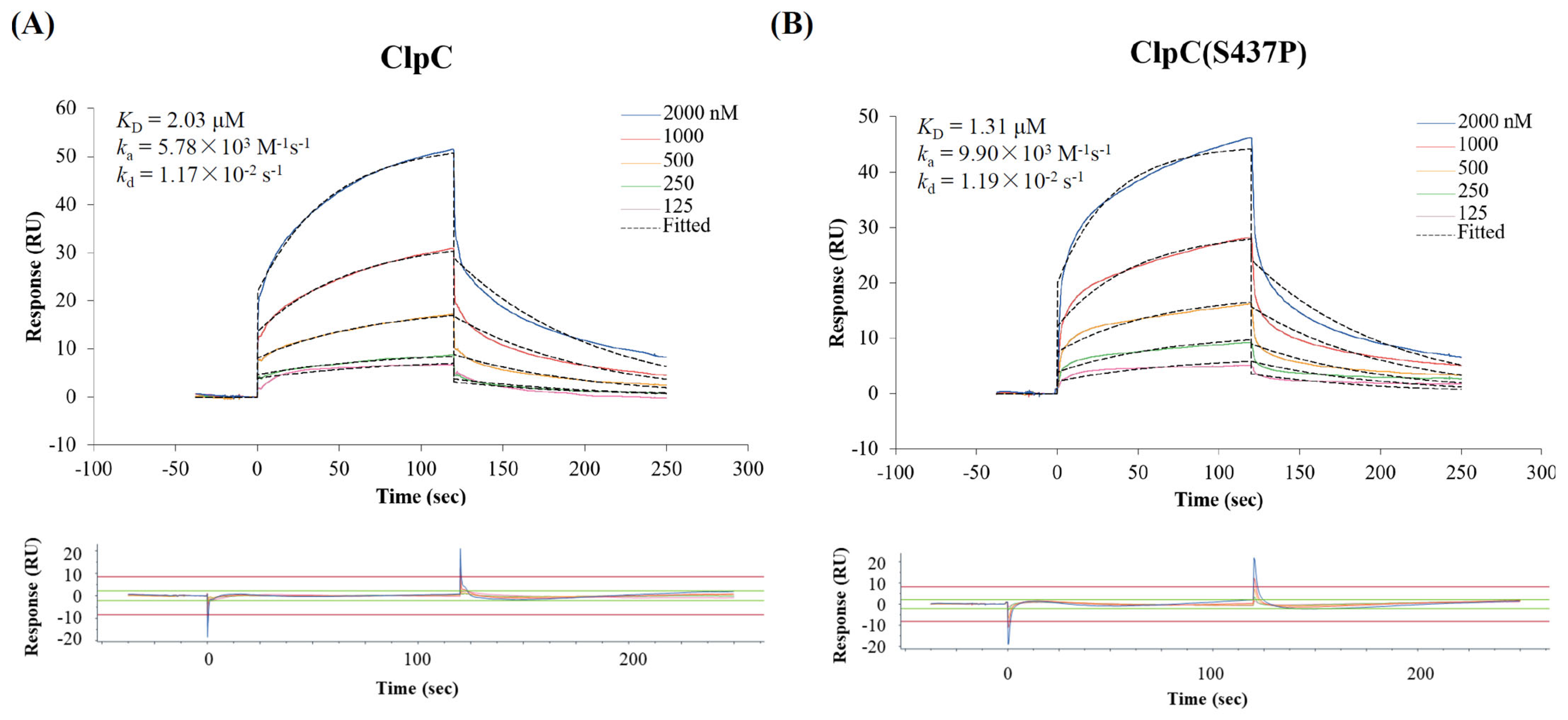 Antibiotics 13 00278 g006