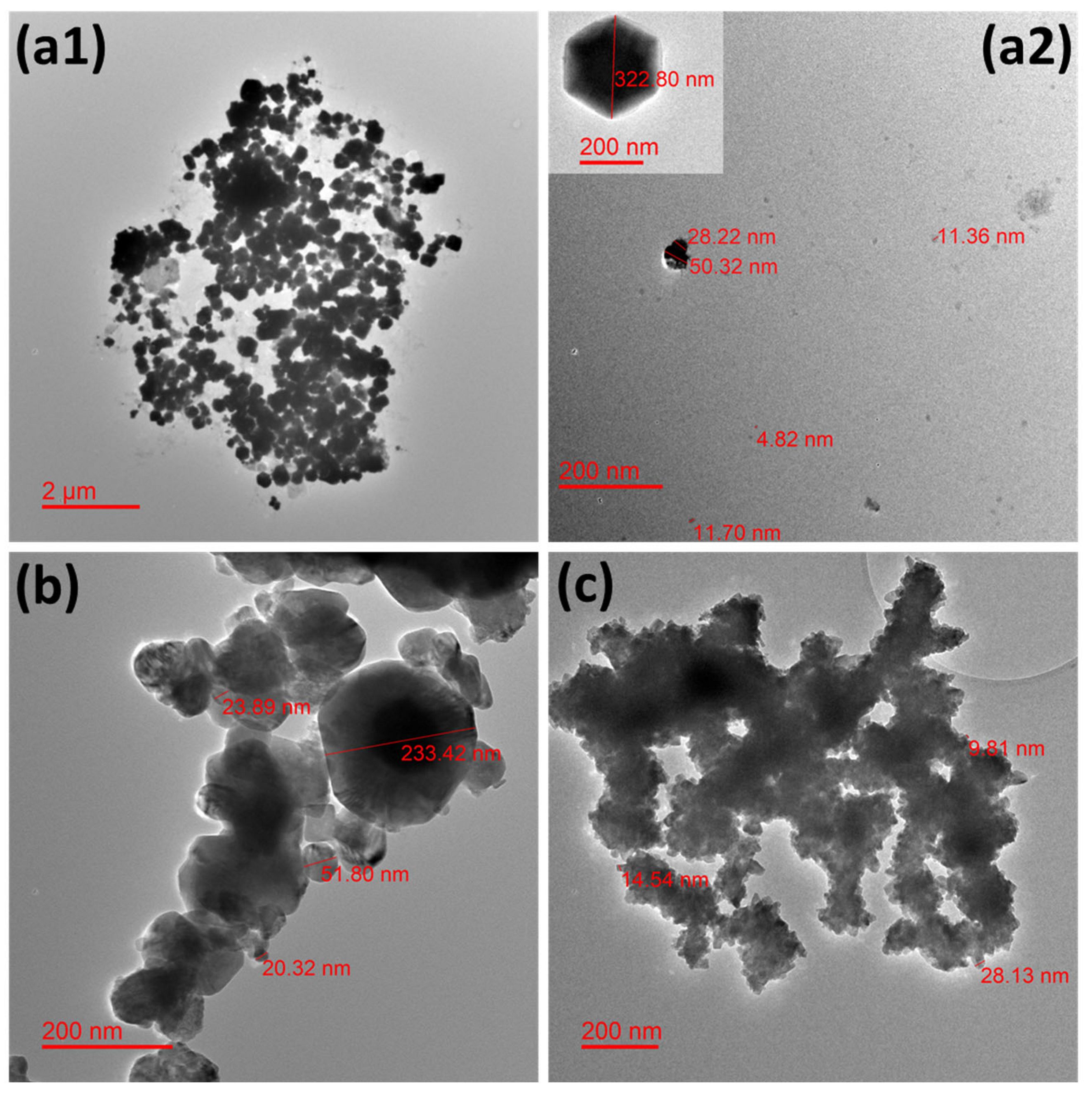 Antibiotics 13 00286 g001