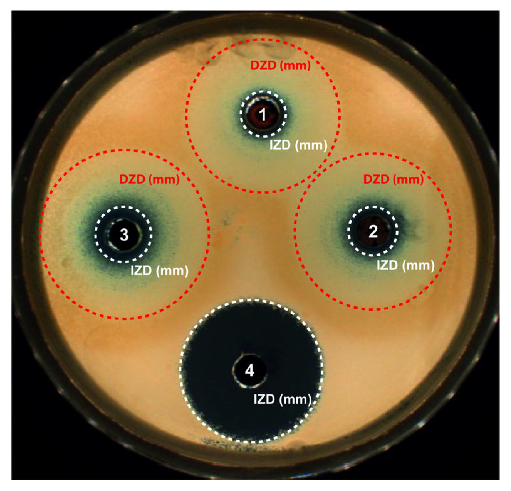 Antibiotics 13 00286 g004