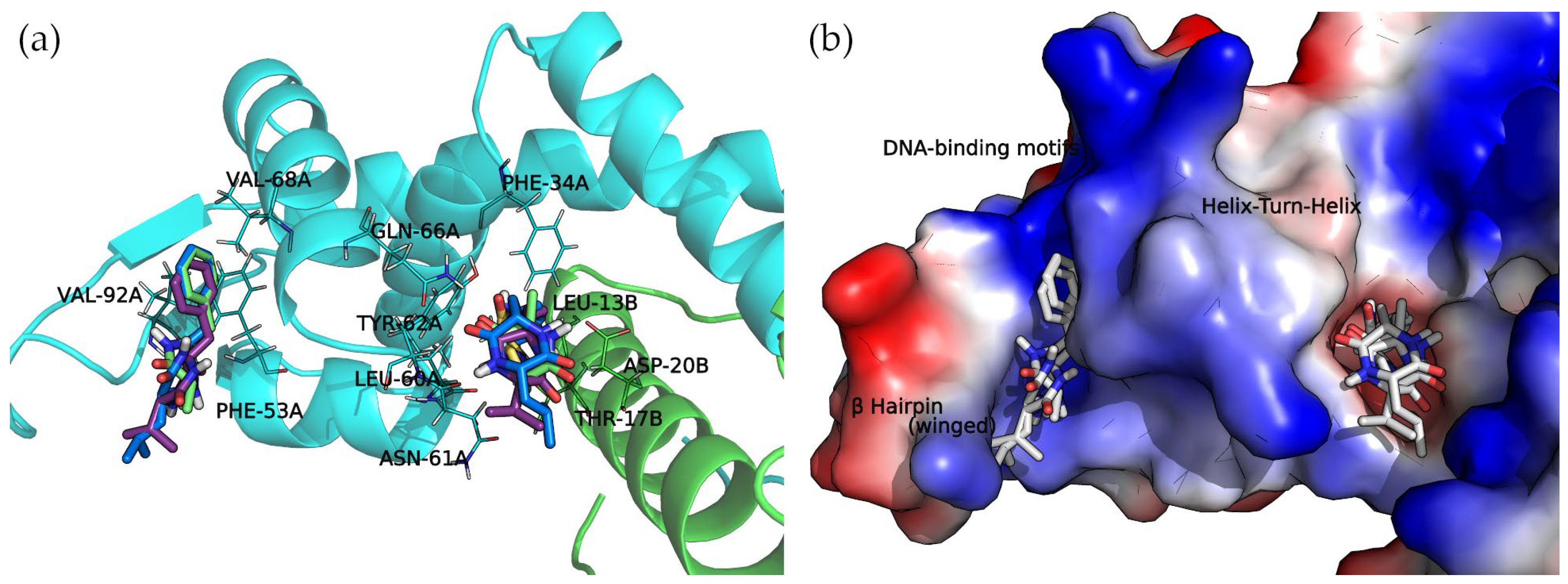 Antibiotics 13 00297 g006