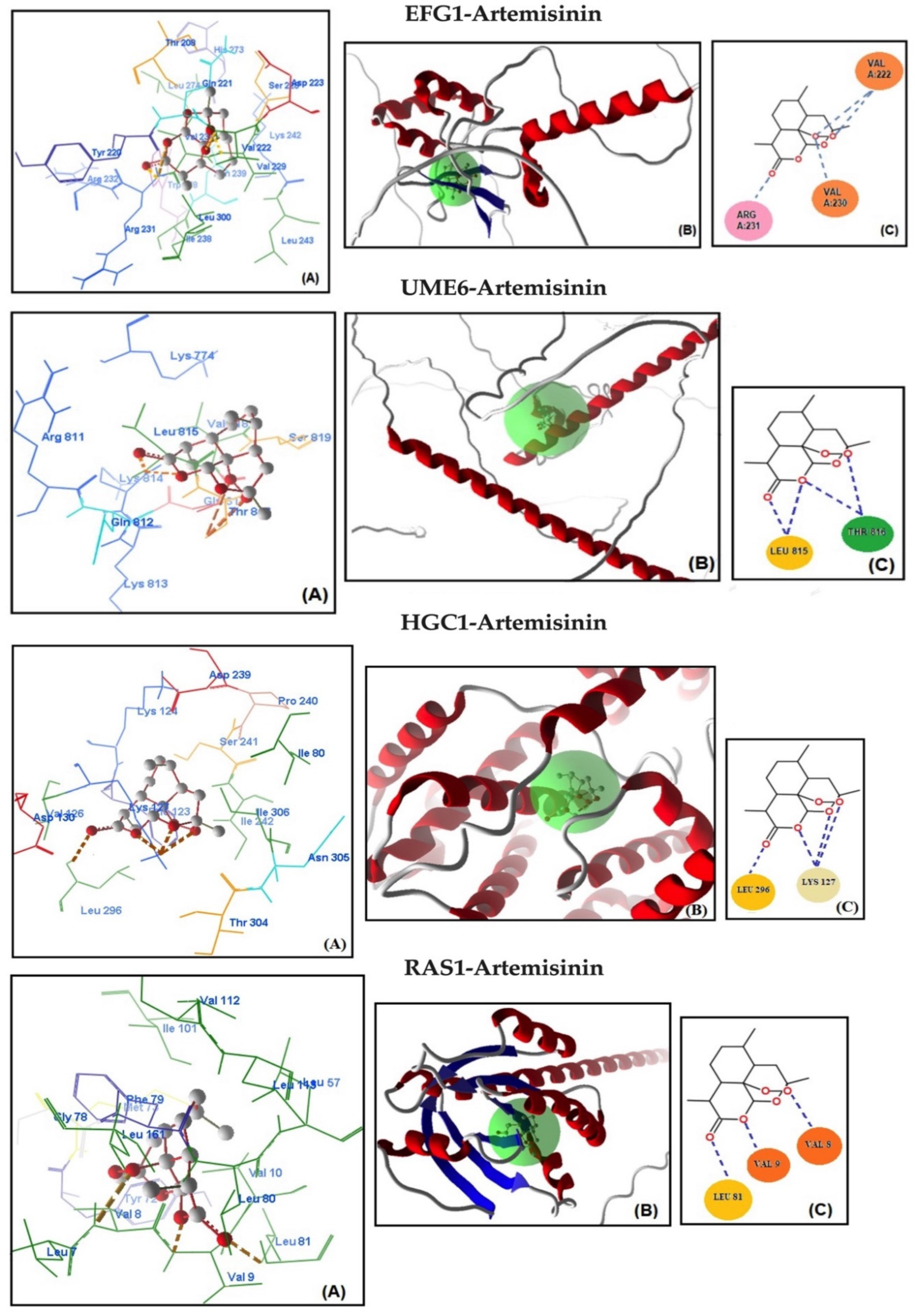 Antibiotics 13 00310 g002a
