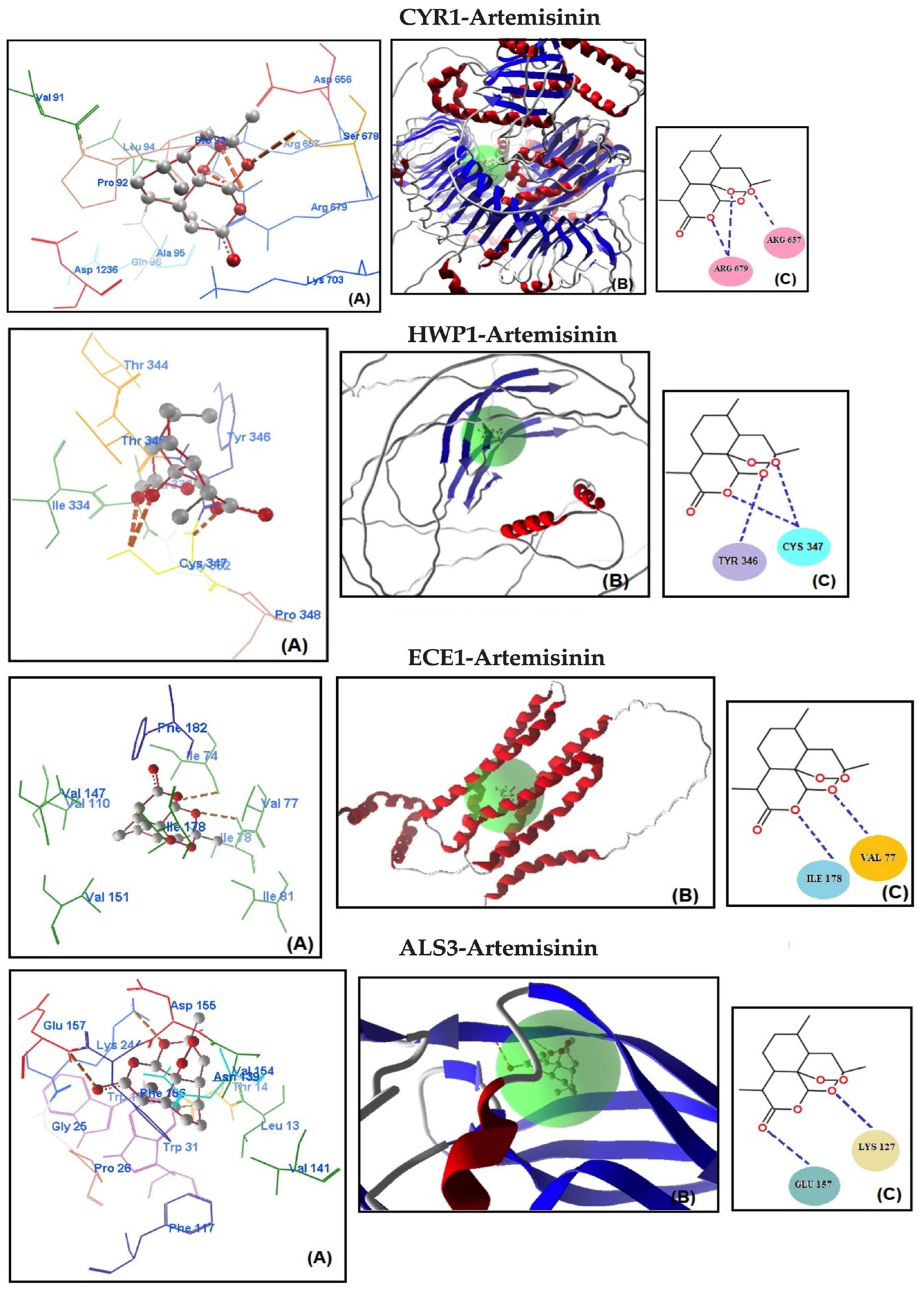 Antibiotics 13 00310 g002b