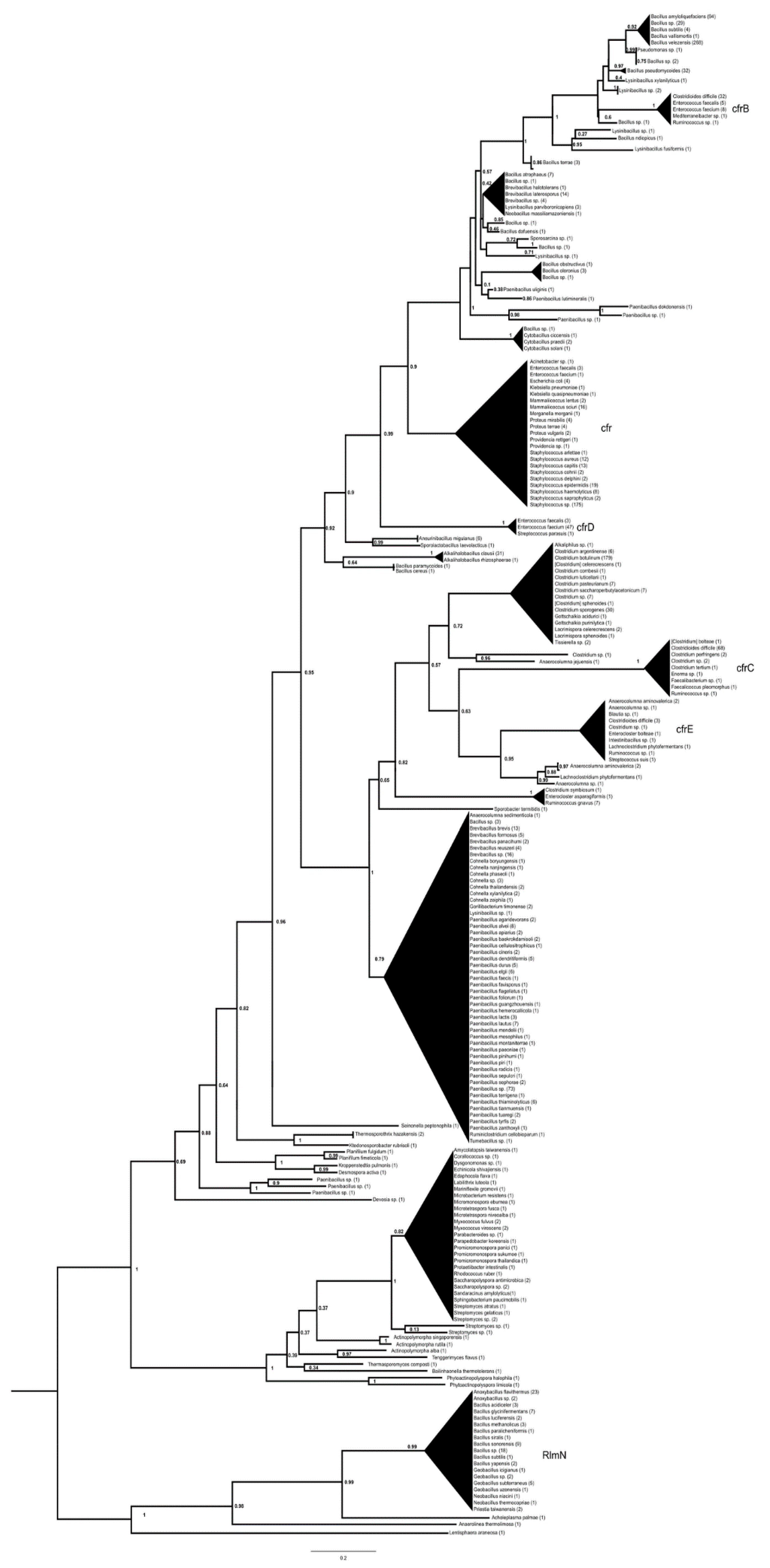 Antibiotics 13 00311 g001