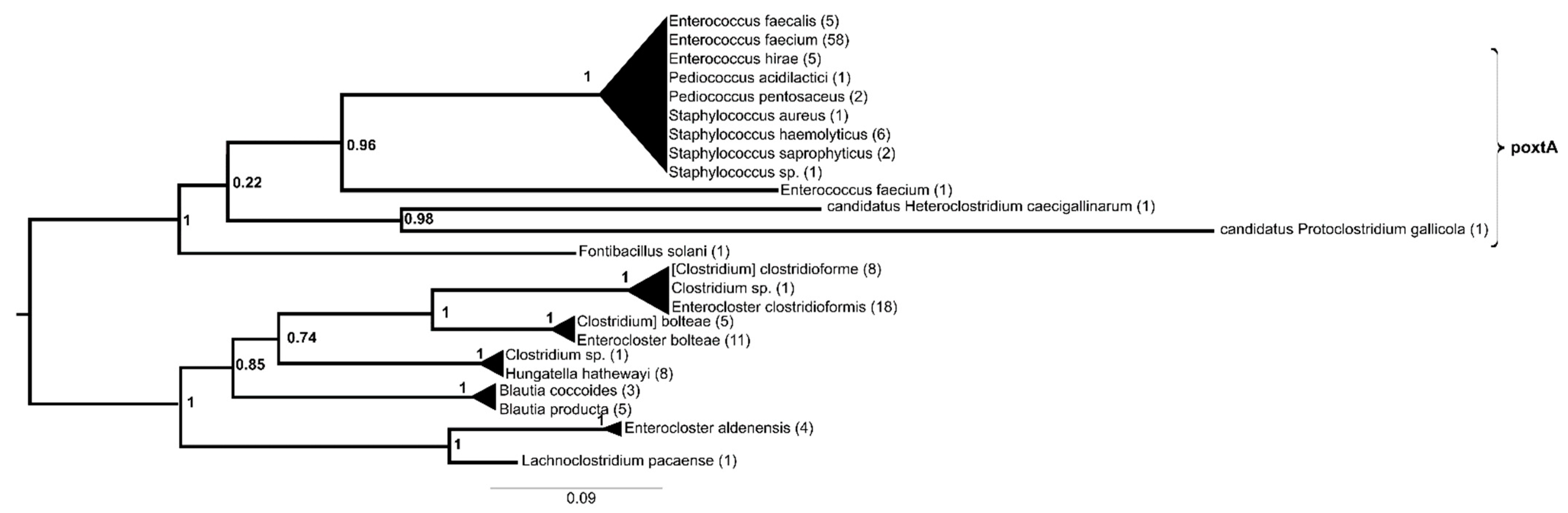 Antibiotics 13 00311 g003