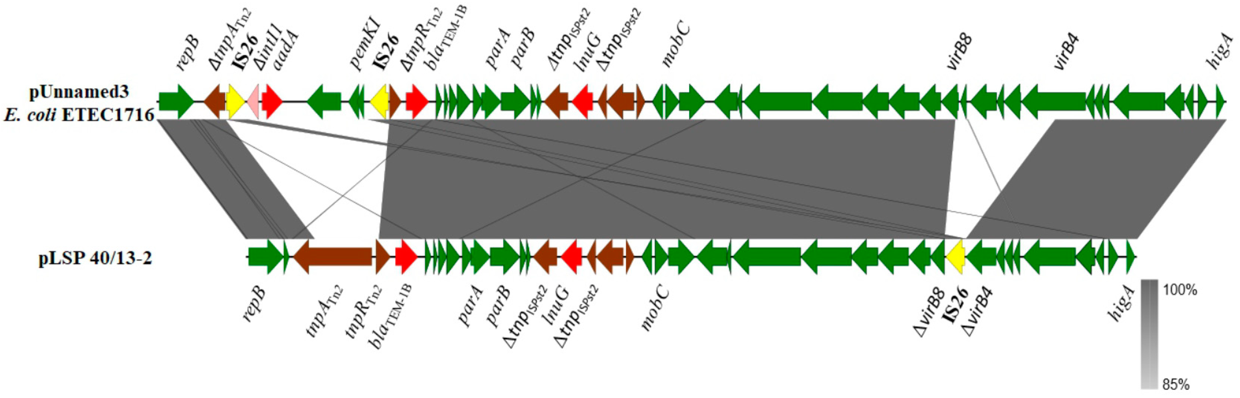 Antibiotics 13 00314 g002 Antibiotics 13 00314 g002